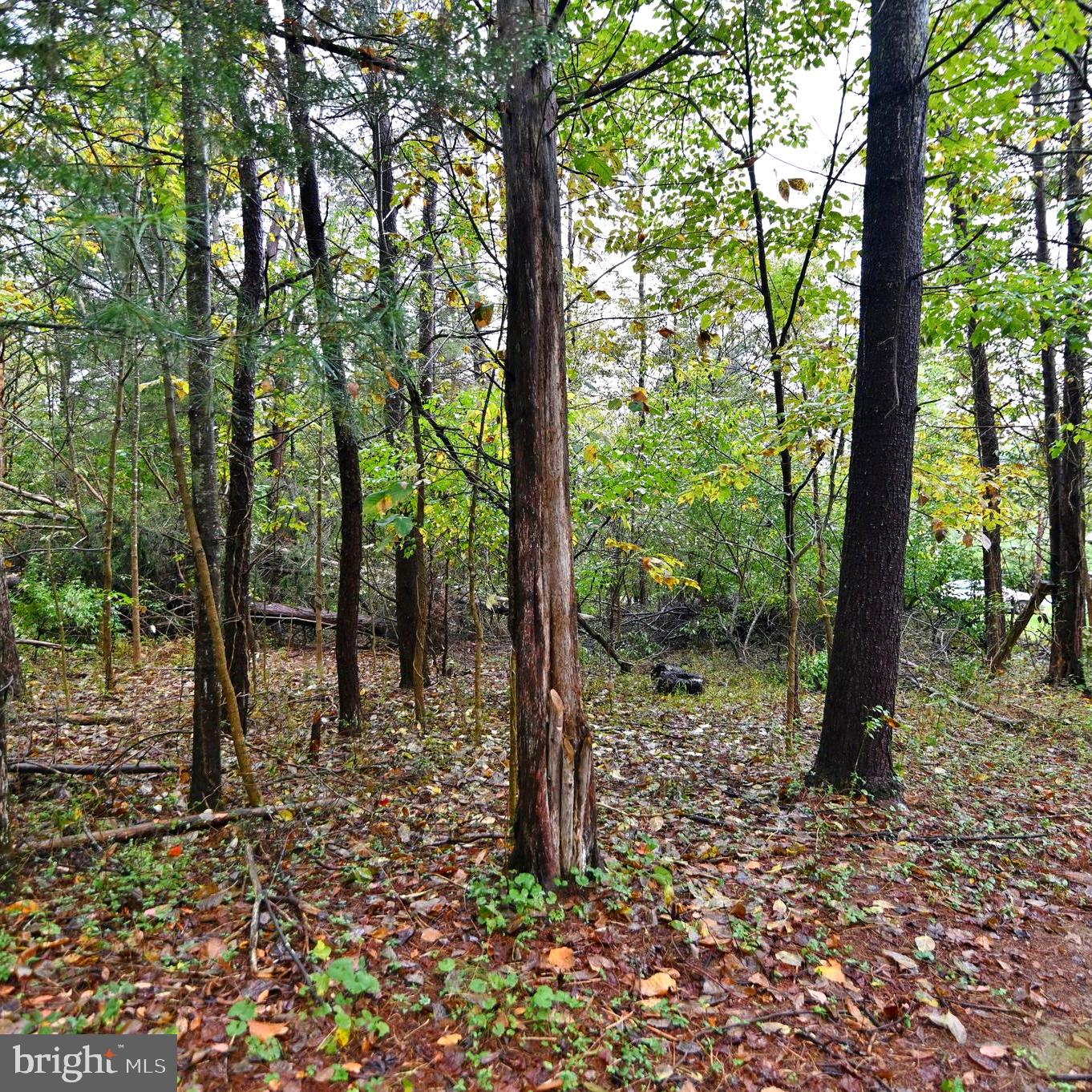 SKY BRYCE SUBDIVISION - Land