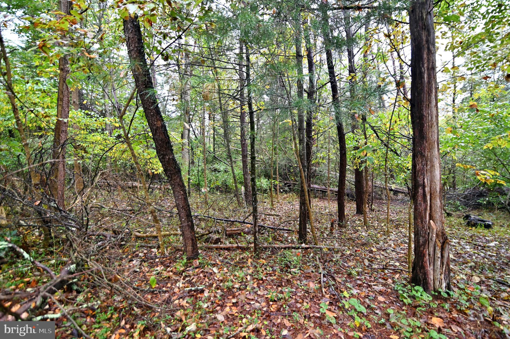 SKY BRYCE SUBDIVISION - Land