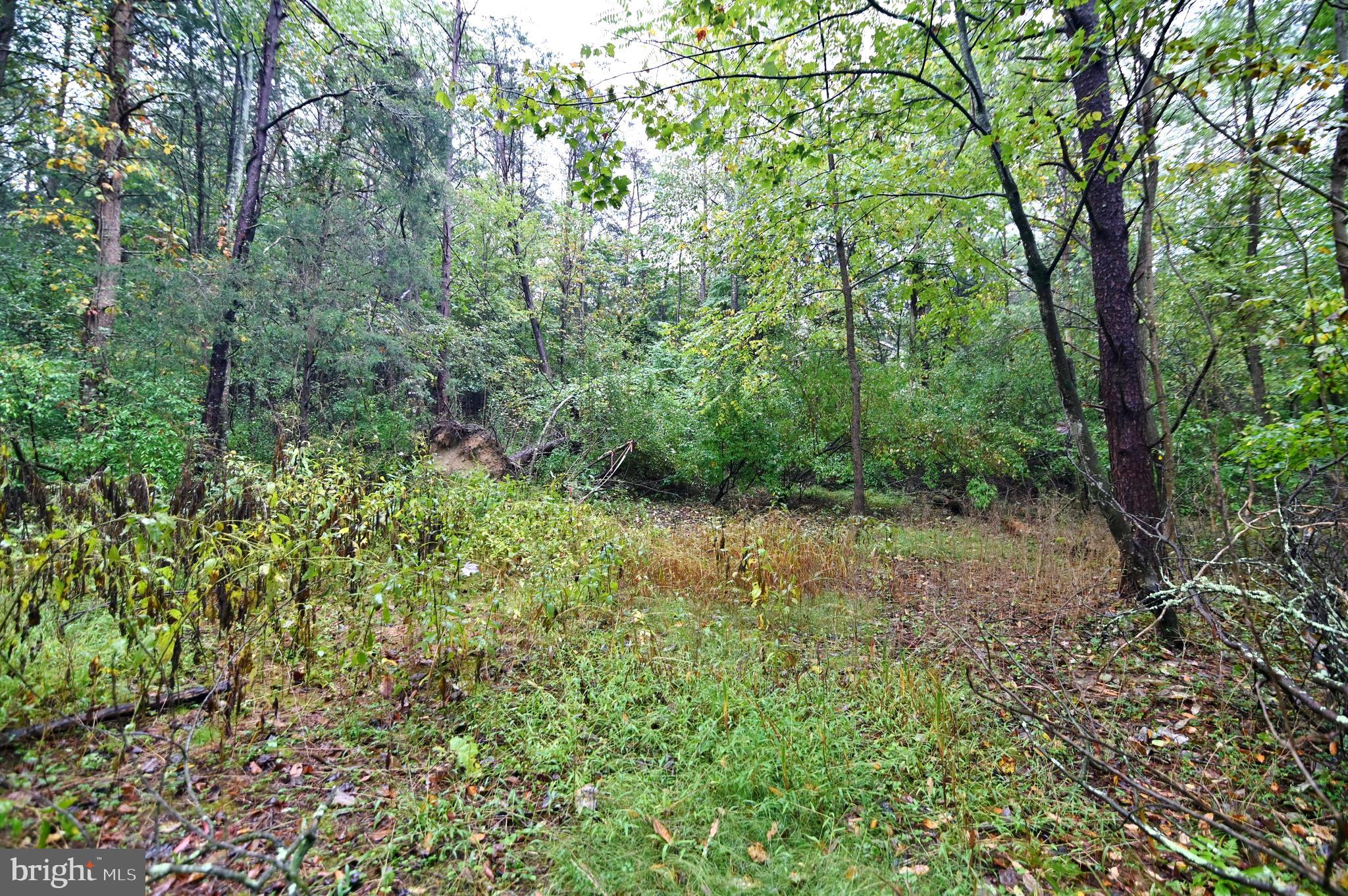 SKY BRYCE SUBDIVISION - Land