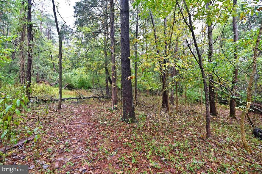Lot on Bryce Resort - Peaceful quiet area - Flatter lot to enjoy a yard.  Build your dream home. Easy access off Crooked Run Road. Public water and sewer hookup is available.  Just minutes to Bryce Resort center. The Resort includes a lake for swimming/fishing/kayaking.  There's also mountain biking, skiing, tubing, ice skating, golf, tennis, and pickleball. In addition to the clubhouse and restaurants, there is also a playground, library, dog park and airport. Bryce has a Farmers Market on Wednesdays from 9am-12pm during the summer. County GIS map in documents.