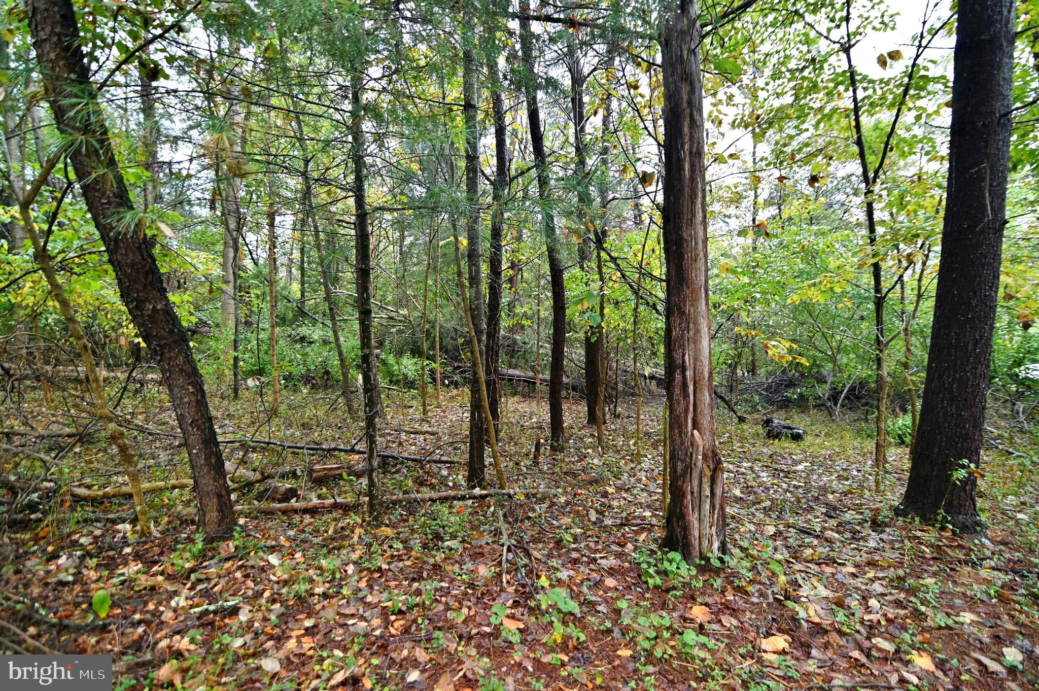 SKY BRYCE SUBDIVISION - Land