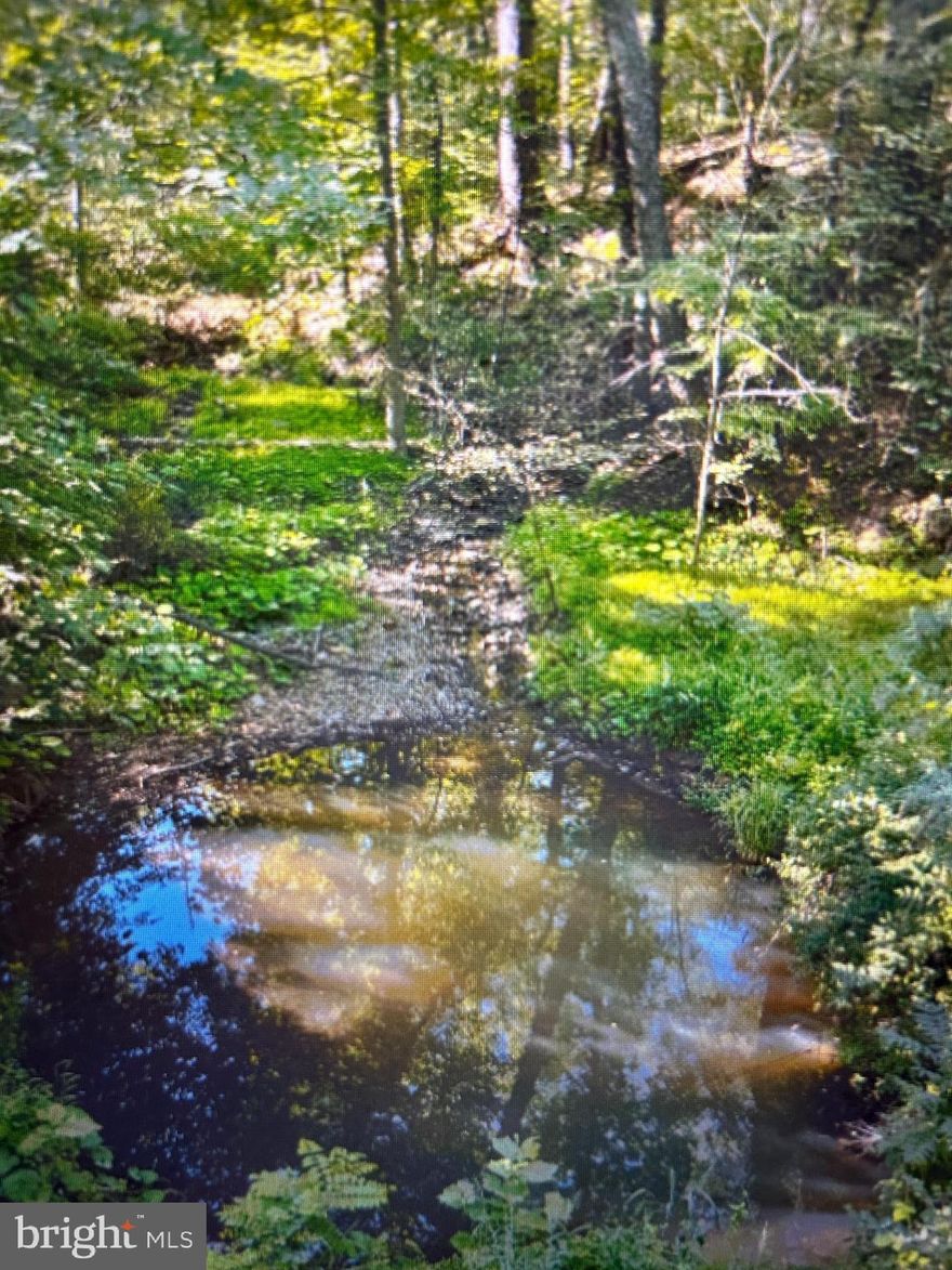 Direct access to Sleepy creek Wildlife Management area over 12000 acres to hunt and fish.Build your cabin or your next home.Lots of wild life Turkey ,Deer ,Bear and more.Here is your chance to own property with direct private access to state land and also has a spring.Lake access with beach for  swimming and fishing