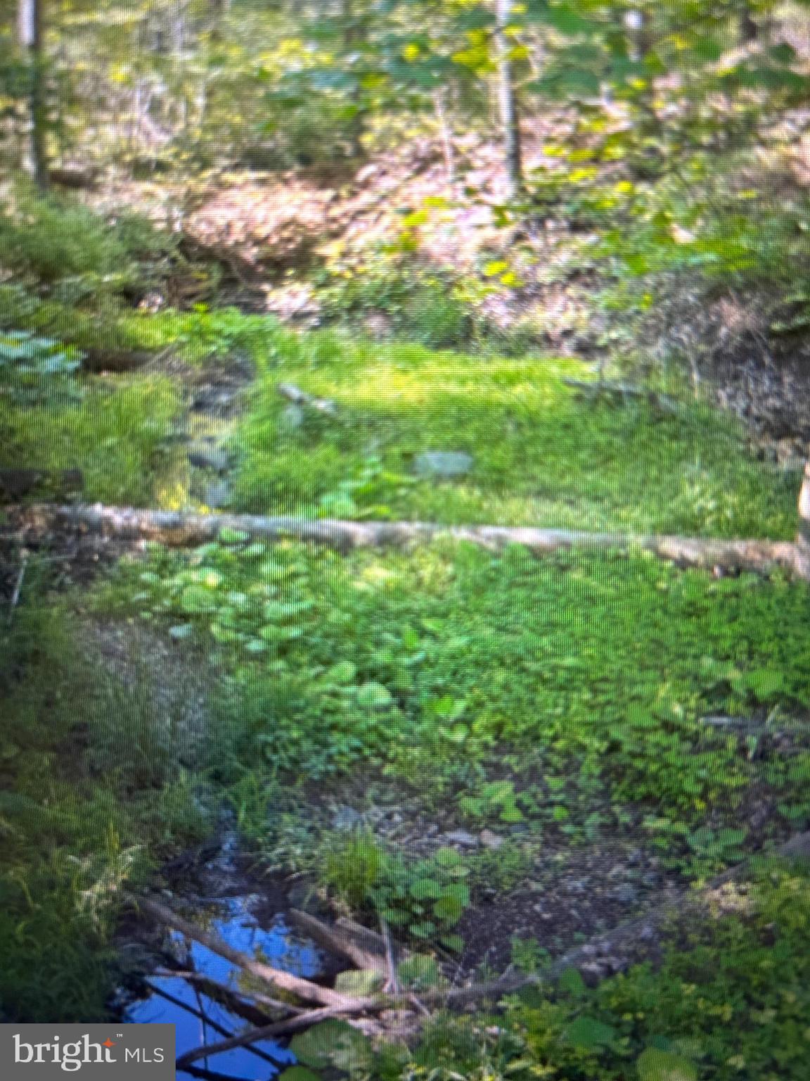 SLEEPY HOLLOW - Land