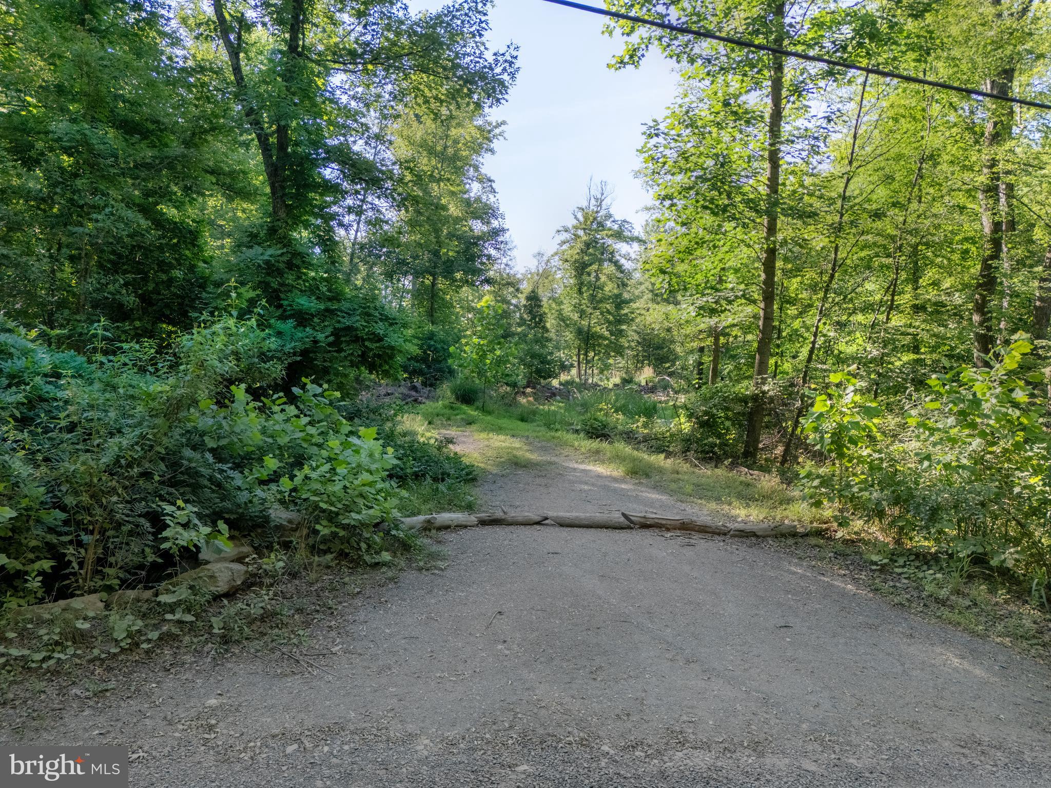 SLEEPY HOLLOW - Land