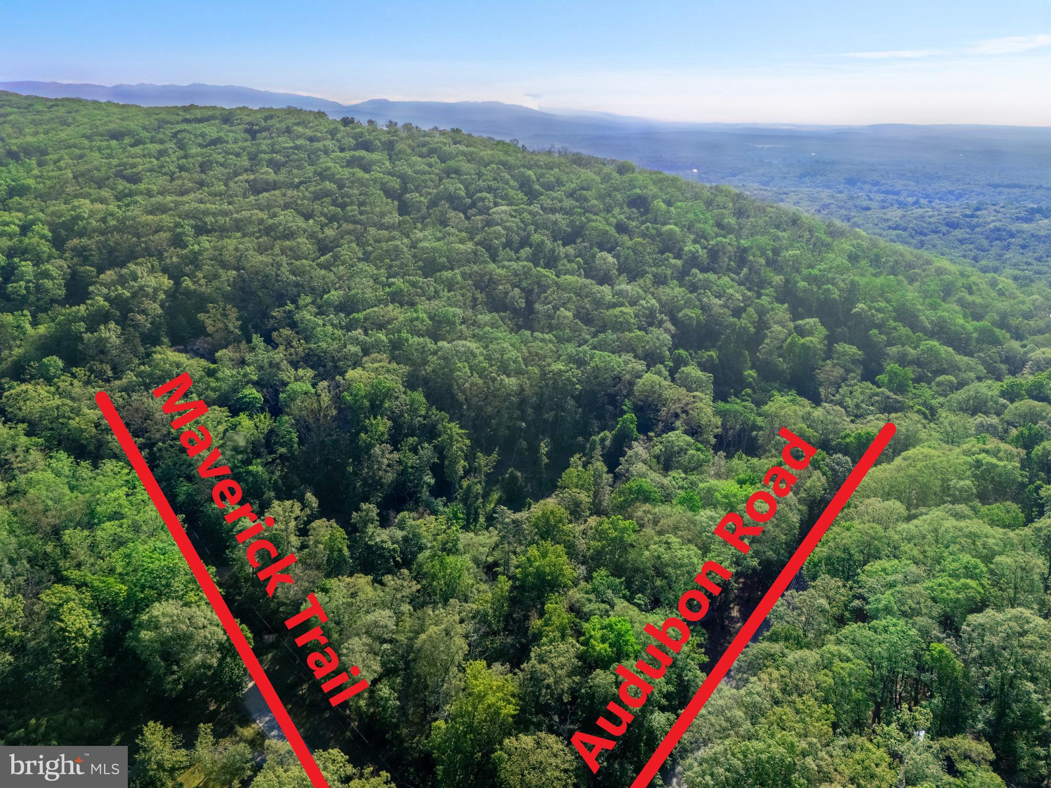 SLEEPY HOLLOW - Land