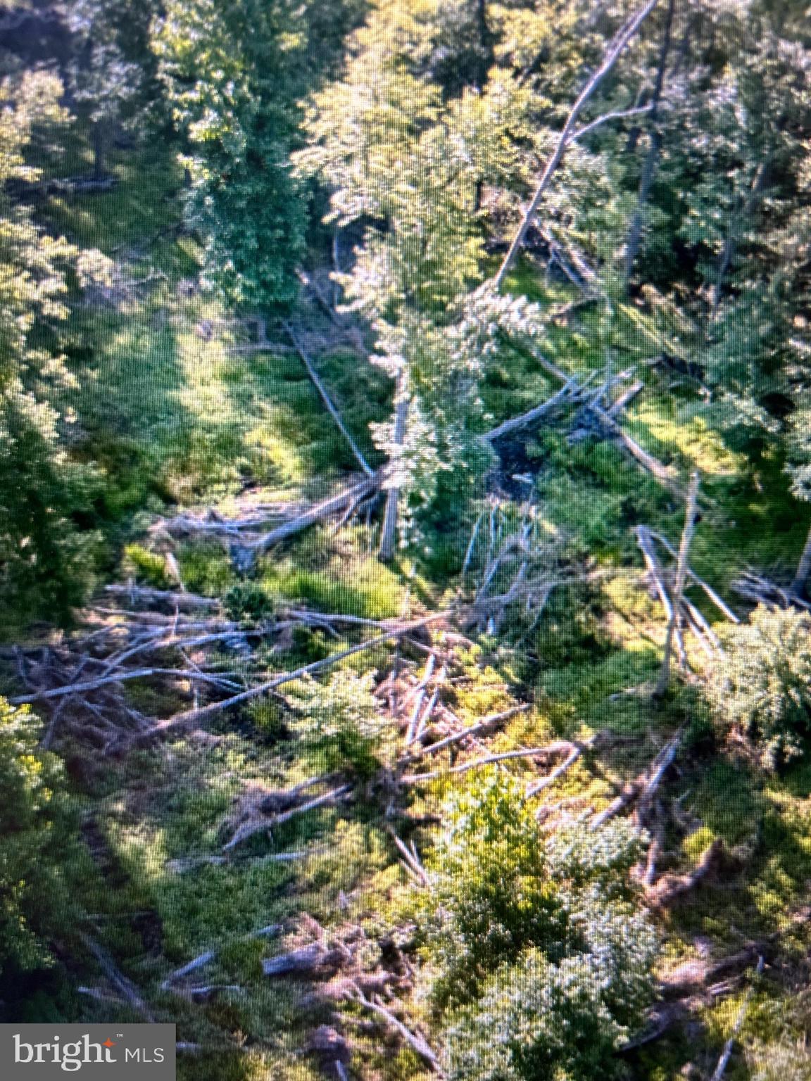 SLEEPY HOLLOW - Land