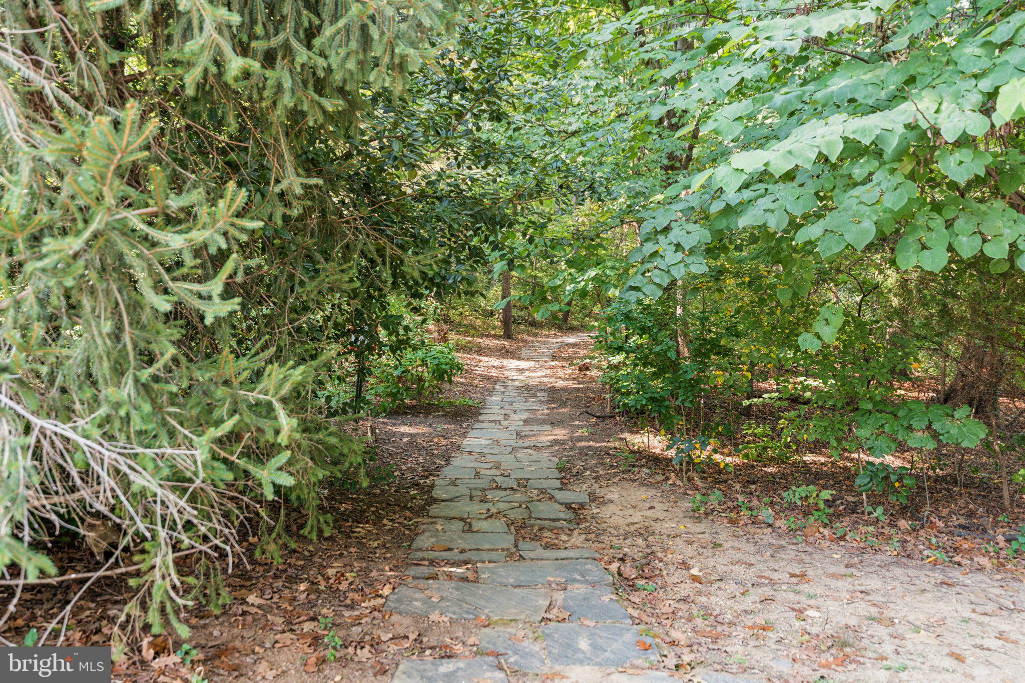 ARLINGTON VILLAGE - Residential