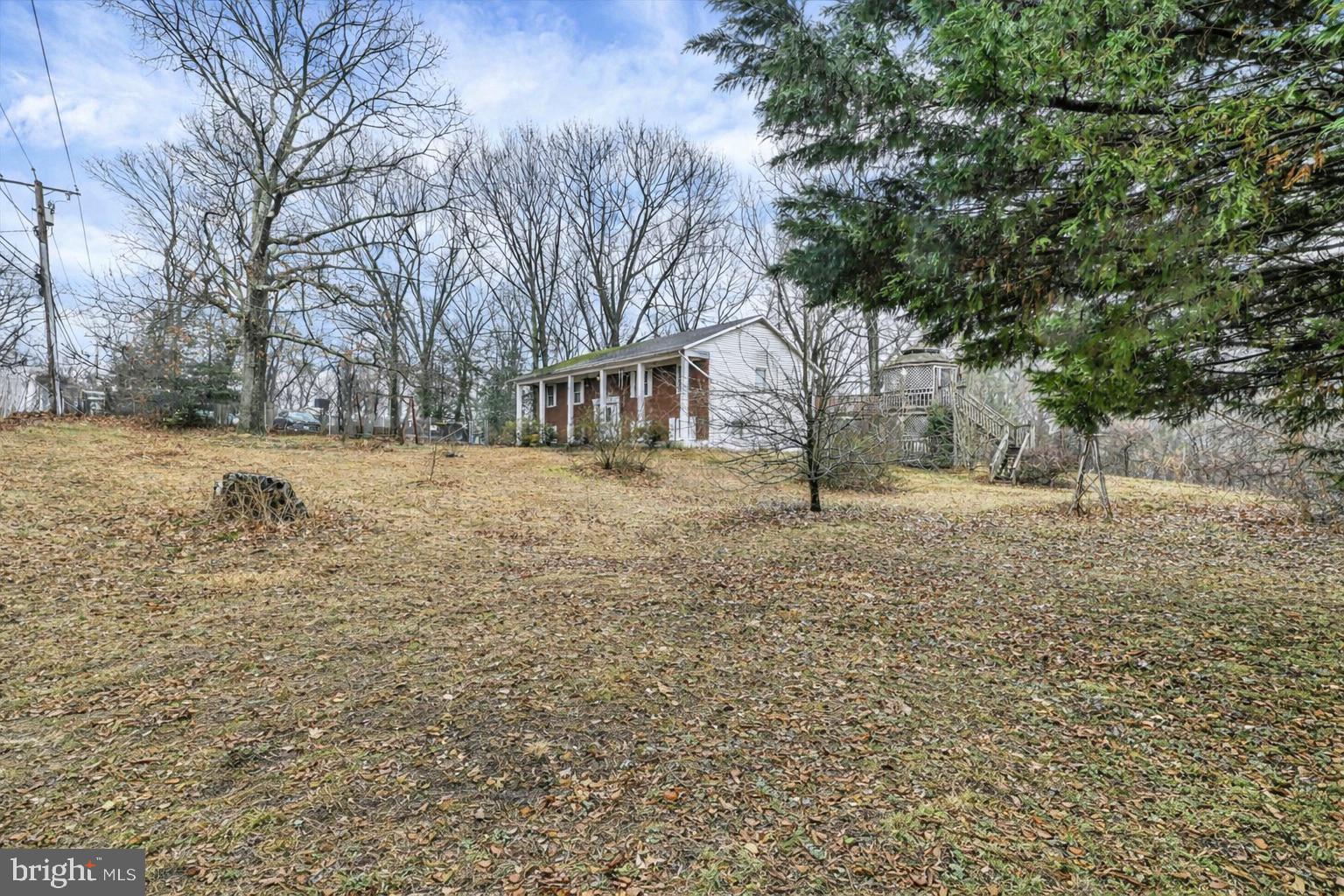 1287 THOMPSON AVENUE