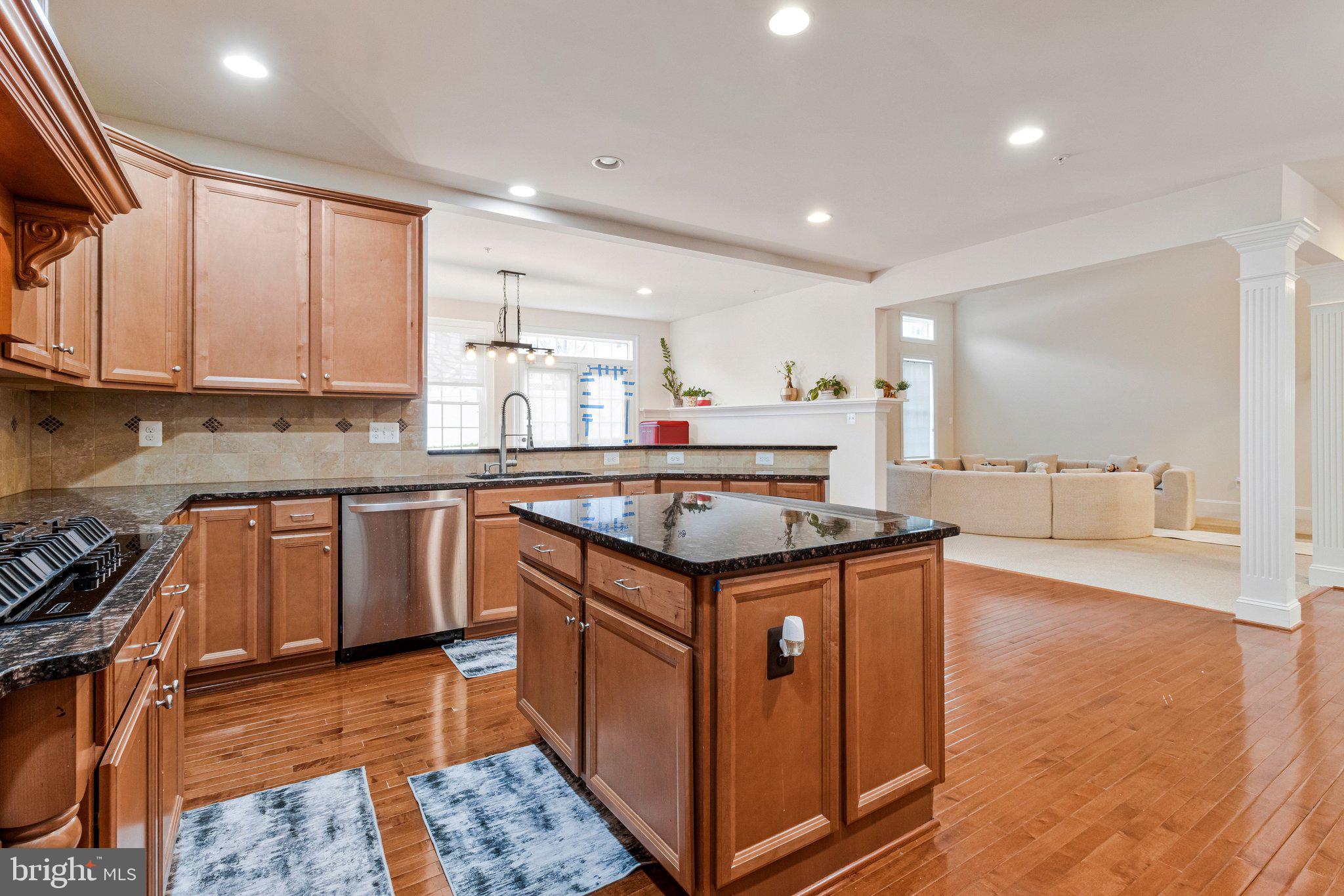 CLARKSBURG VILLAGE - Residential