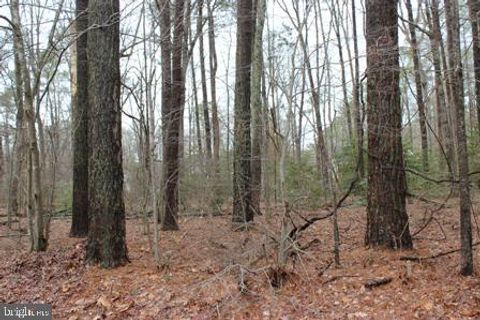 Vacant Land For Sale - 2104 Buccaneer Boulevard<br/> Accomack County, GREENBACKVILLE, VA 23356
