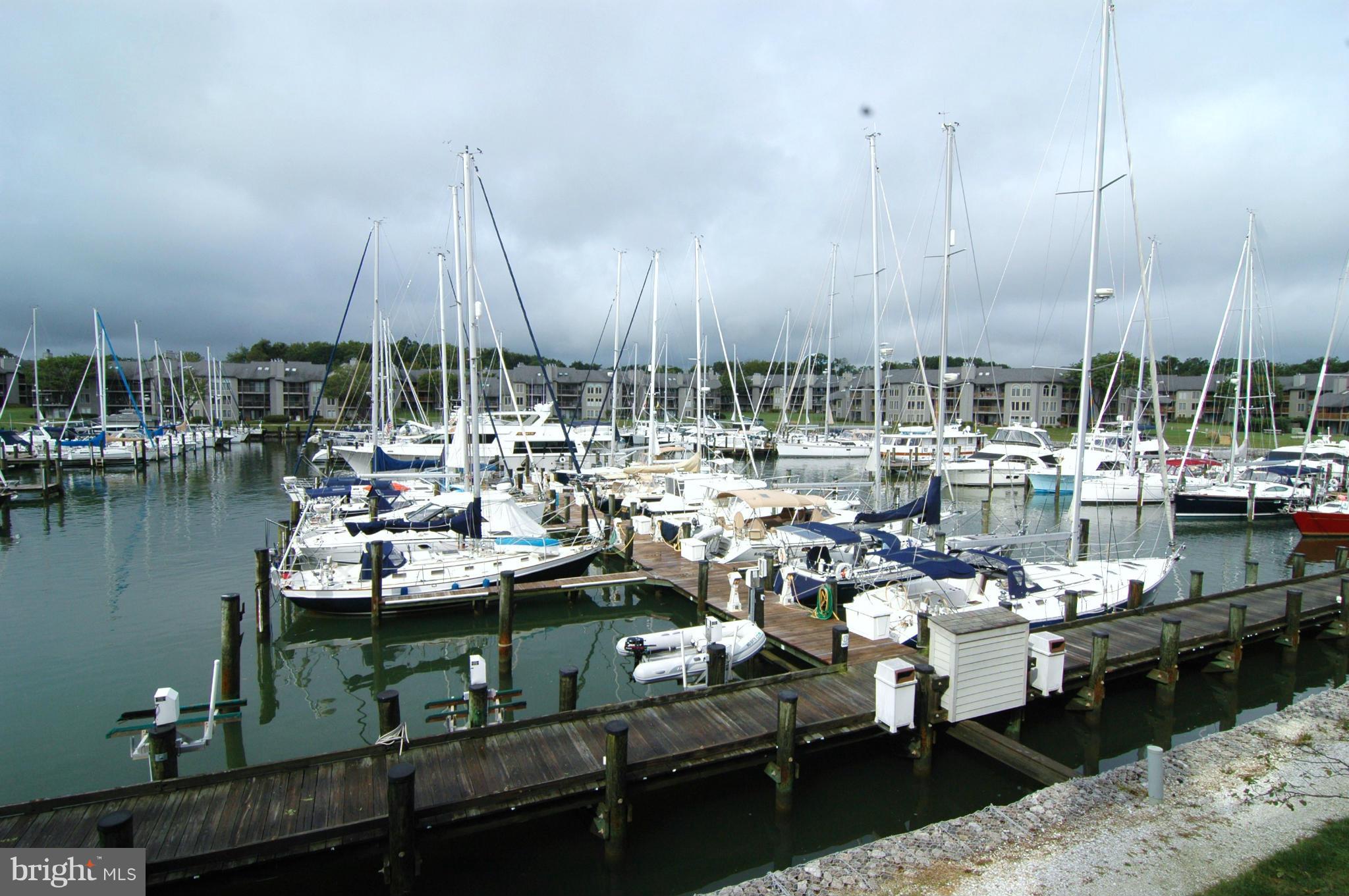 CHESAPEAKE HARBOUR - Residential Lease
