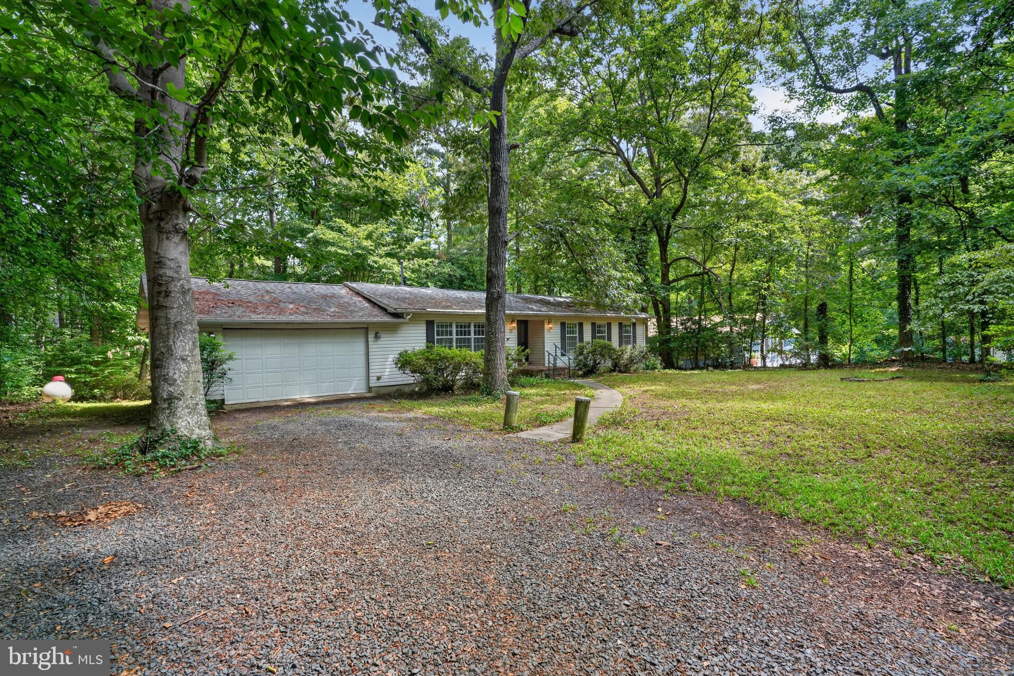 262 ELKINS LANE