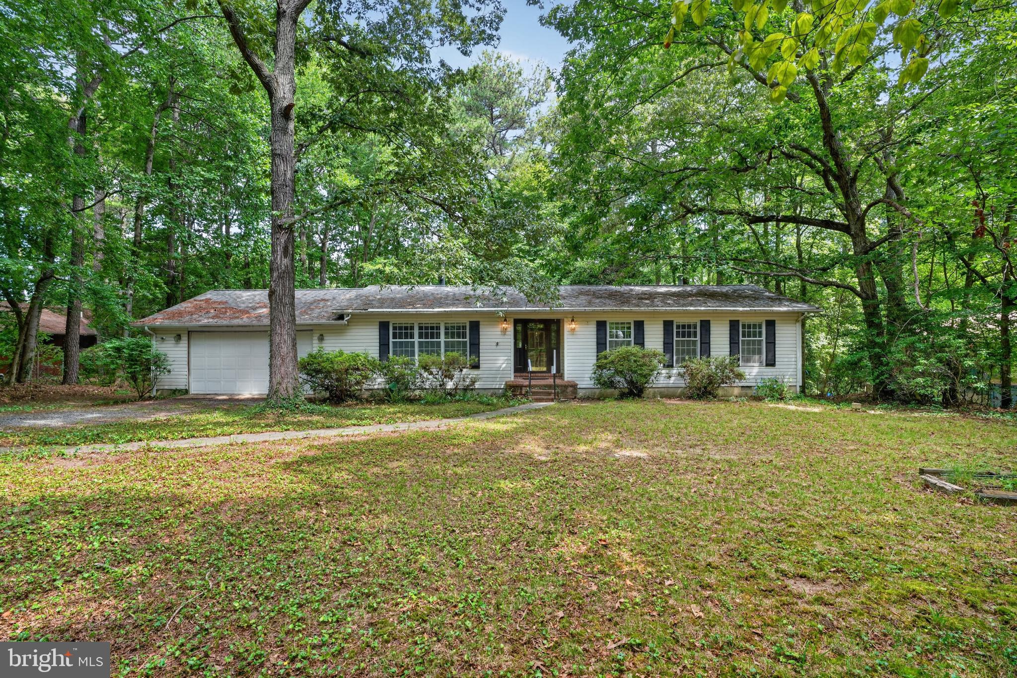 262 ELKINS LANE