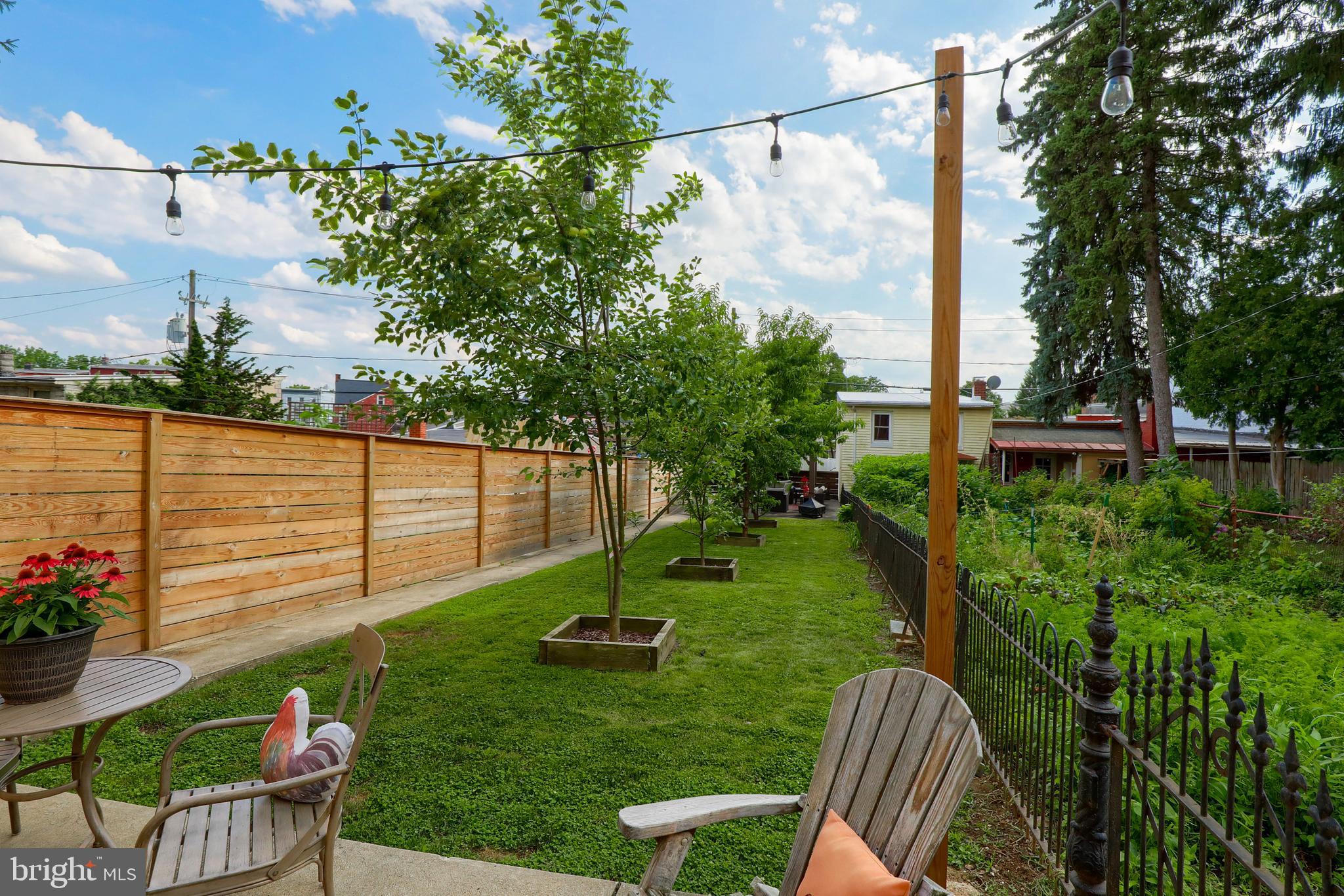 CHESTNUT HILL - Residential