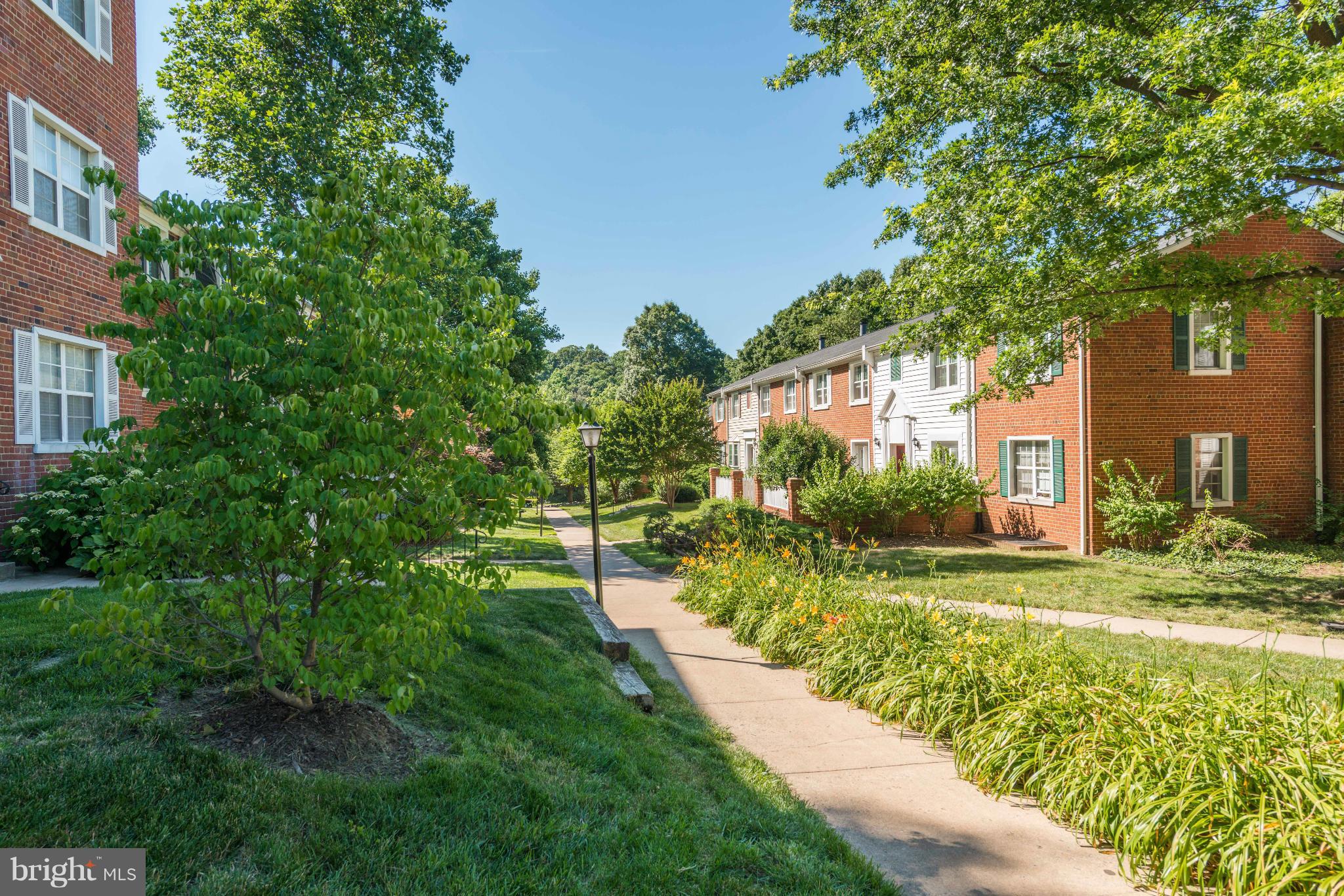 THE ARLINGTON - Residential