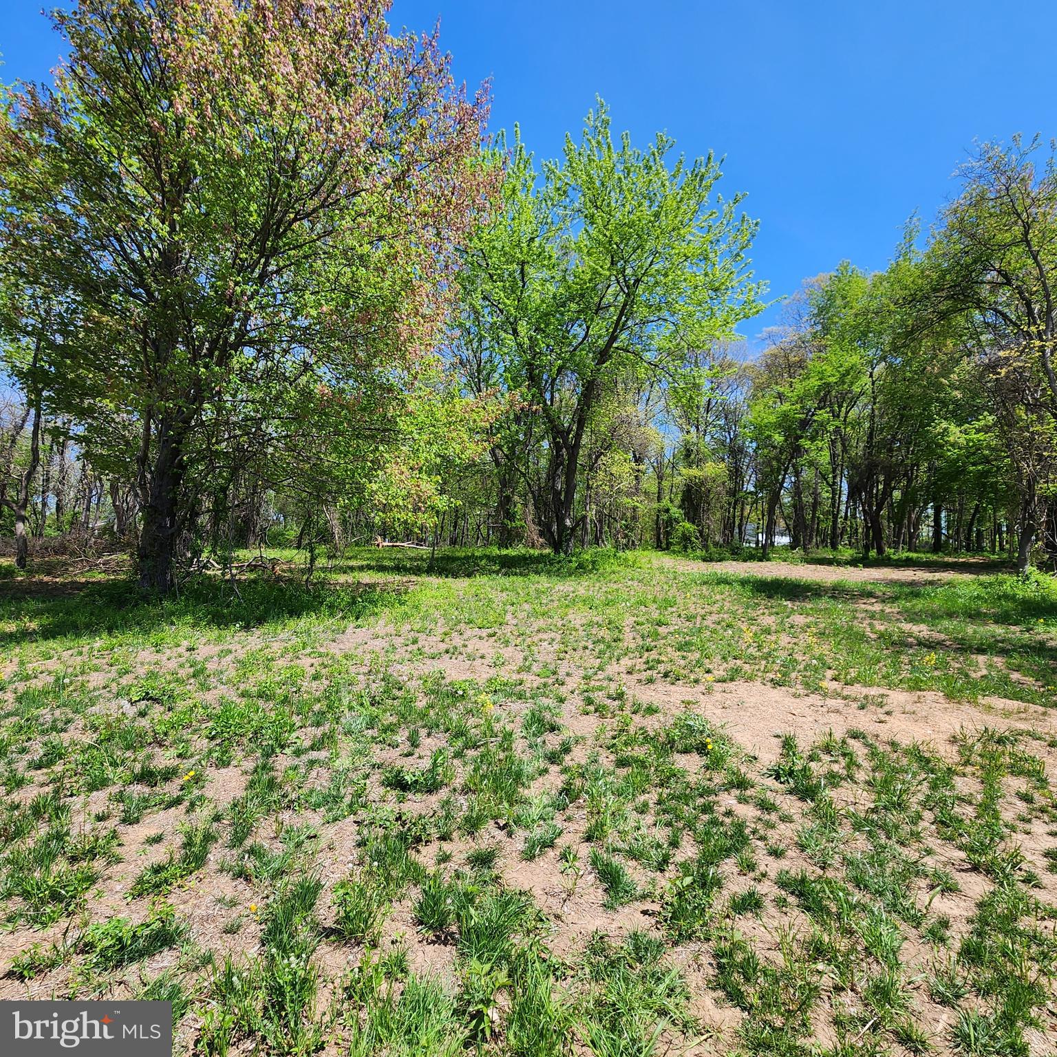 Selling a Beautiful wooded lot with farm views in a prime location. This property offers 3 acres with two approved conventional perc sites and a 8.5 gal p/m well. Great opportunity to build your dream home! Call for more details.