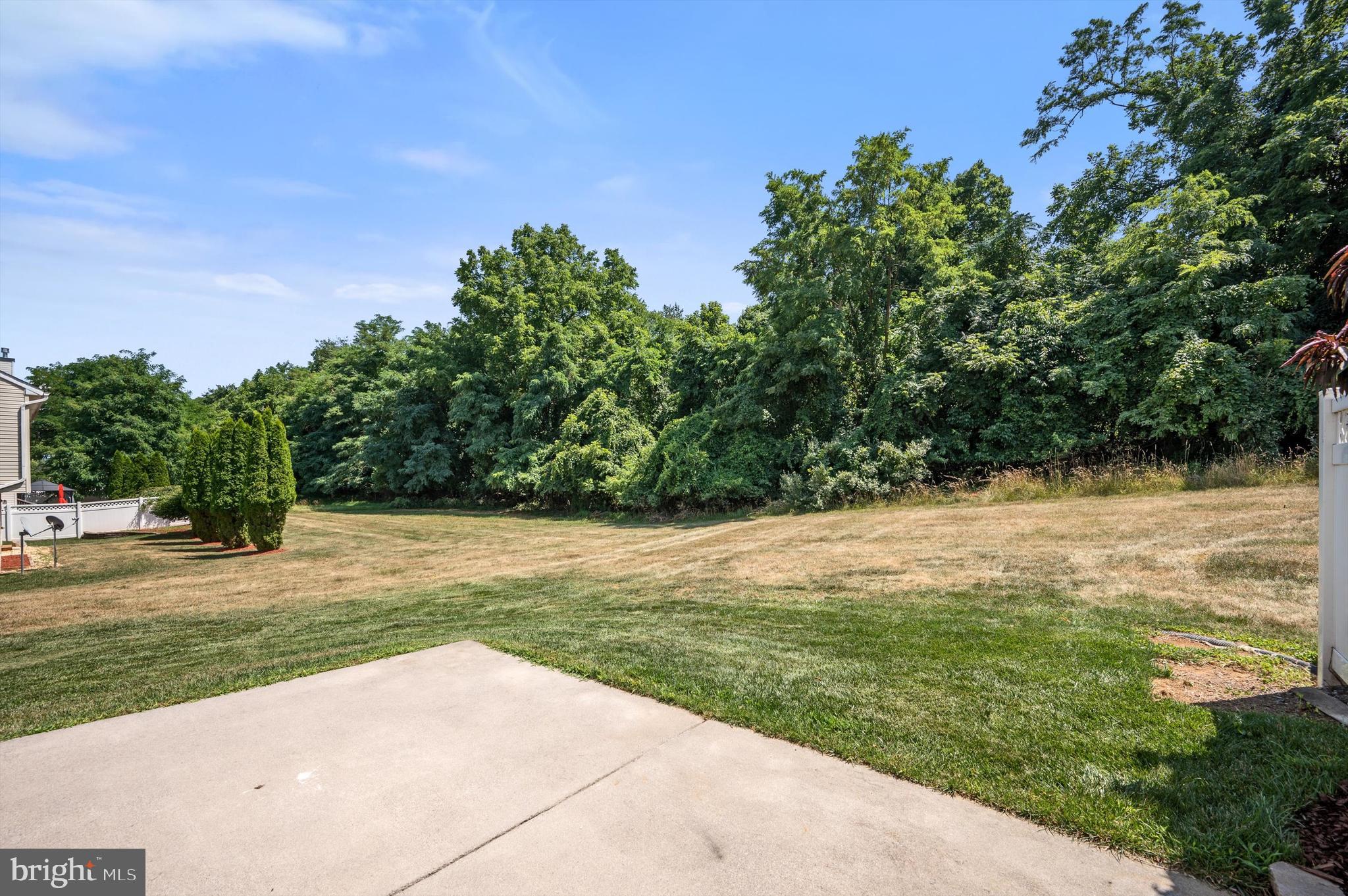 SHENANDOAH SPRINGS - Residential