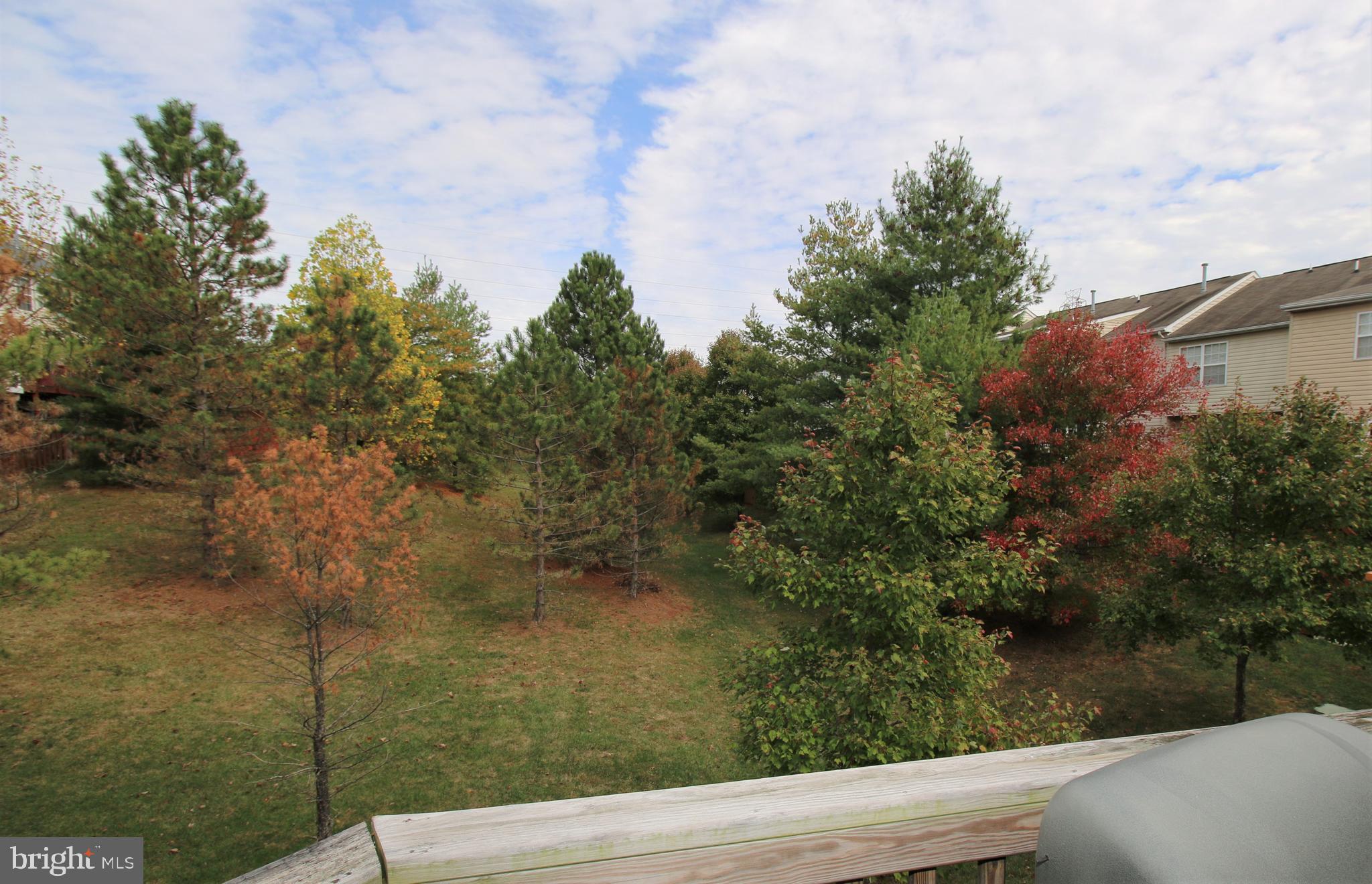 ASHBURN VILLAGE - Residential