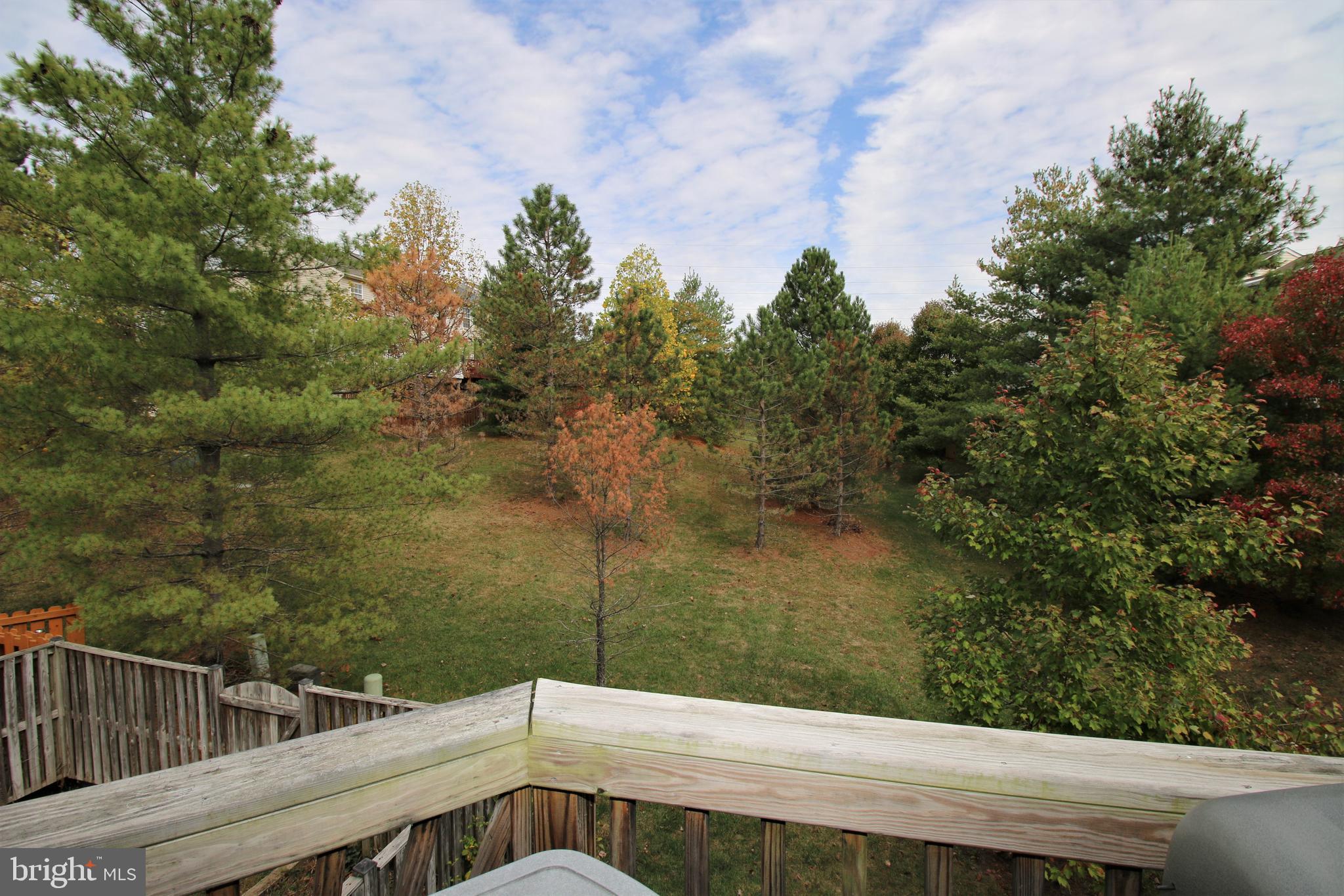 ASHBURN VILLAGE - Residential