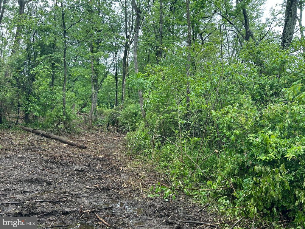 Photo of 0 Oak Lane, FLEETWOOD, PA 19522 (MLS # PABK2066008)