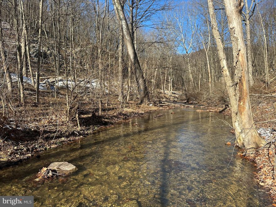 UNRESTRICTED.....THAT'S RIGHT, I SAID UNRESTRICTED! 3.9 ACRES WITH NEARLY 400 FT OF "LIMESTONE RUN" FLOWING THROUGH THE PROPERTY AND NICE FIELD ALONG THE STREAM. FRONTAGE ON 2 PAVED ROADS WITH PRIMARY ACCESS FROM HOLLYWOOD ROAD, PUBLIC WATER & ELECTRIC AT STREET. THE PERFECT LOT FOR A TINY HOME OR HOME BASE FOR RV. GOOD SET UP FOR A MOBILE HOME. NEARLY 4 UNRESTRICTED ACRES WITH A BOLD STREAM, FIELD, EASY ACCESS AND PUBLIC WATER FOR UNDER 30K? YES.....THAT'S CHEAP, CHEAP, CHEAP.....LISTEN TO THE TINY FROGS GO PEEP, PEEP, PEEP......JUST OUTSIDE THE CITY LIMITS, SO YOU'RE CLOSE TO EVERYTHING KEYSER HAS TO OFFER. BE SURE TO WATCH THE VIDEO ON THIS ONE FOR A DETAILED EXPLANATION OF THE SET UP.