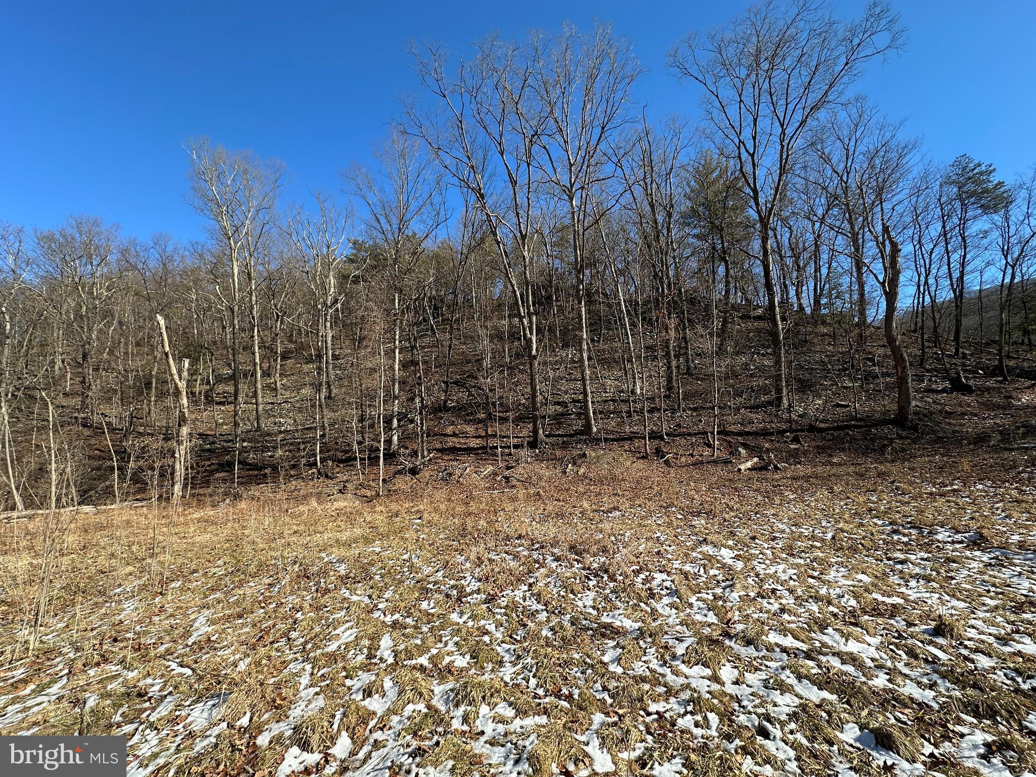 NONE AVAILABLE - Land