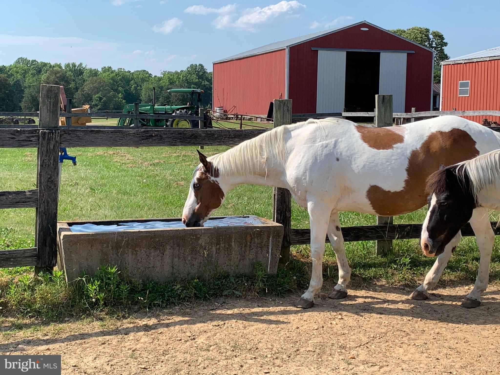 NONE AVAILABLE - Farm