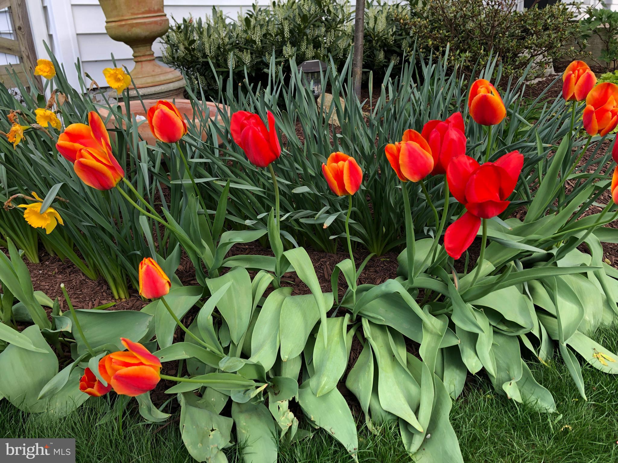 GARDNER MEADOWS - Residential