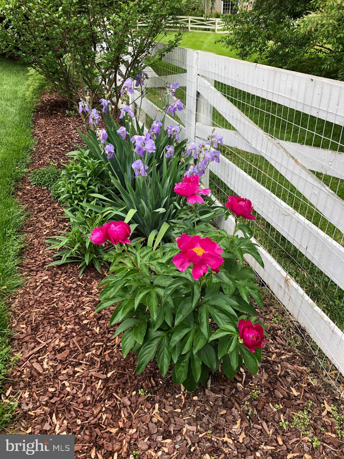 GARDNER MEADOWS - Residential