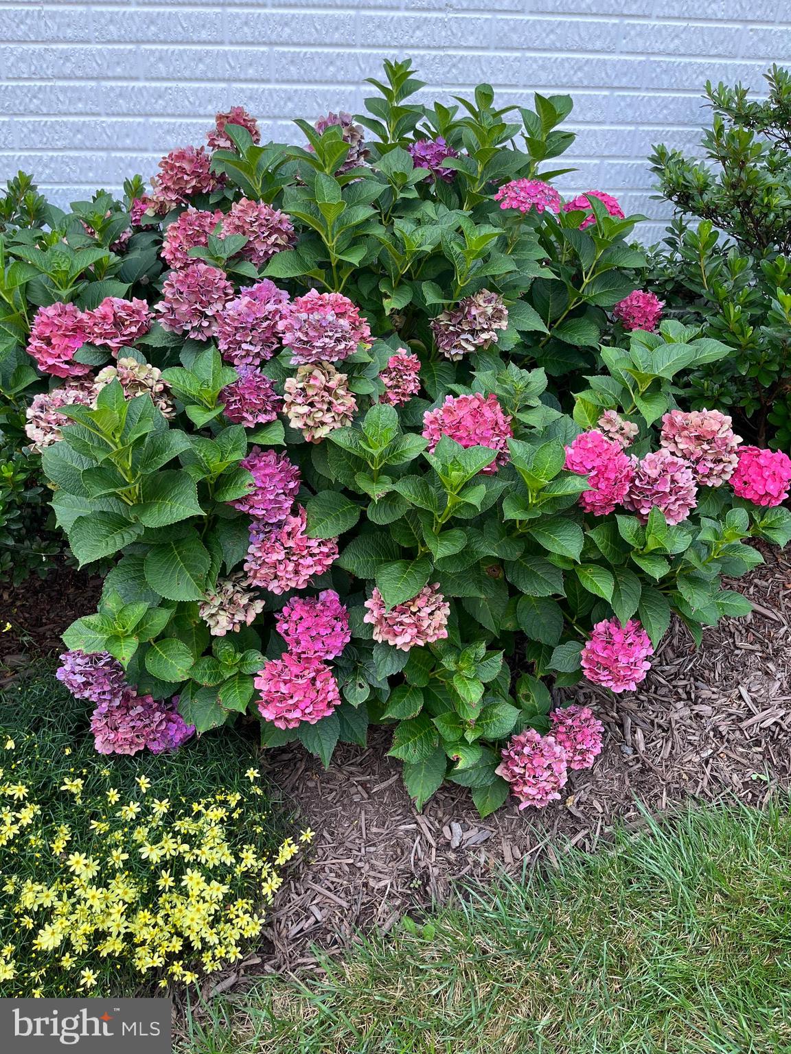 GARDNER MEADOWS - Residential