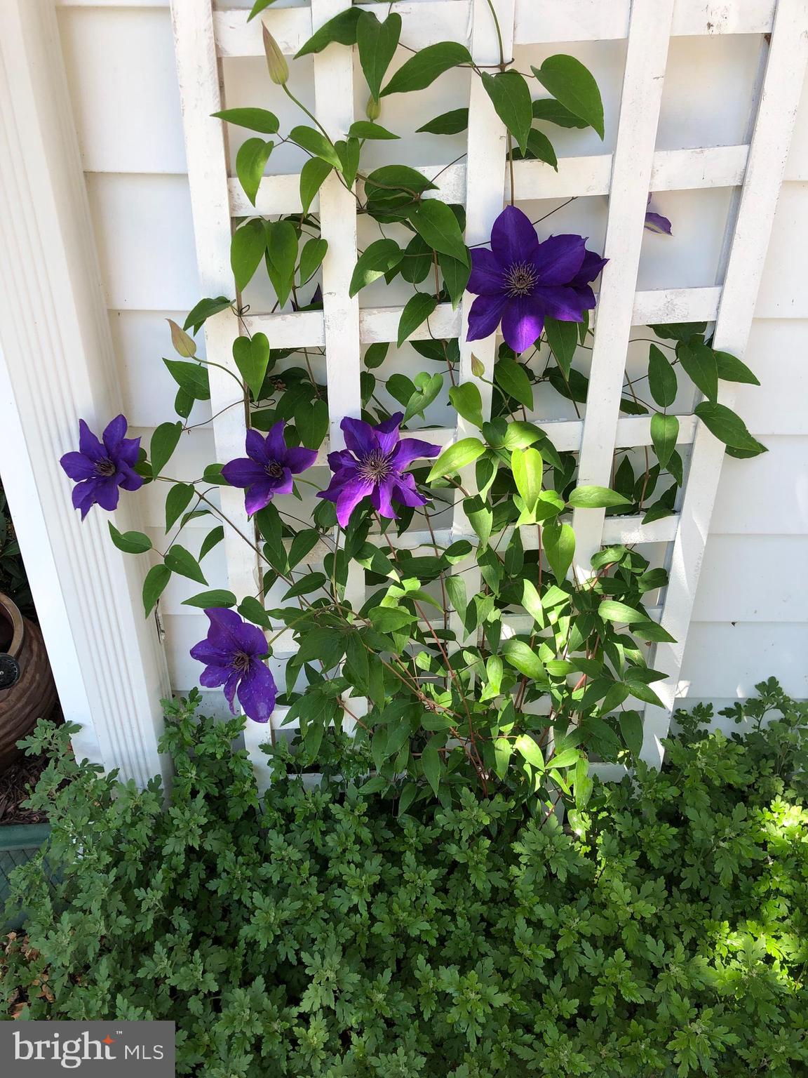 GARDNER MEADOWS - Residential