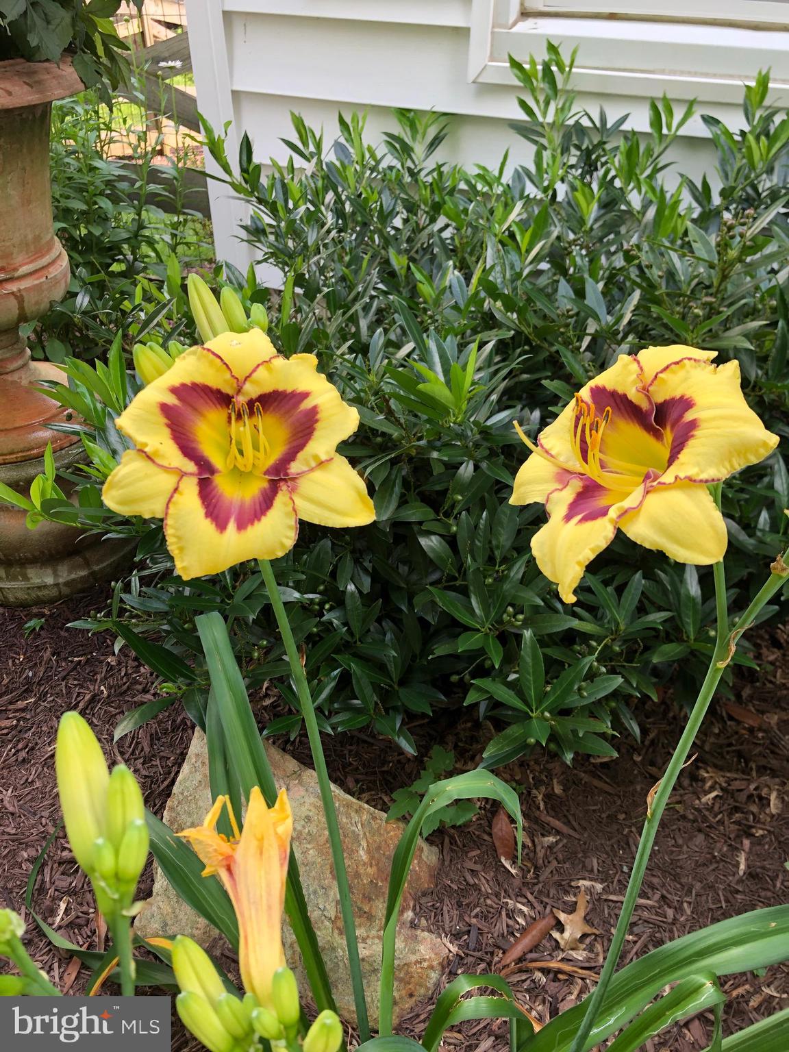 GARDNER MEADOWS - Residential