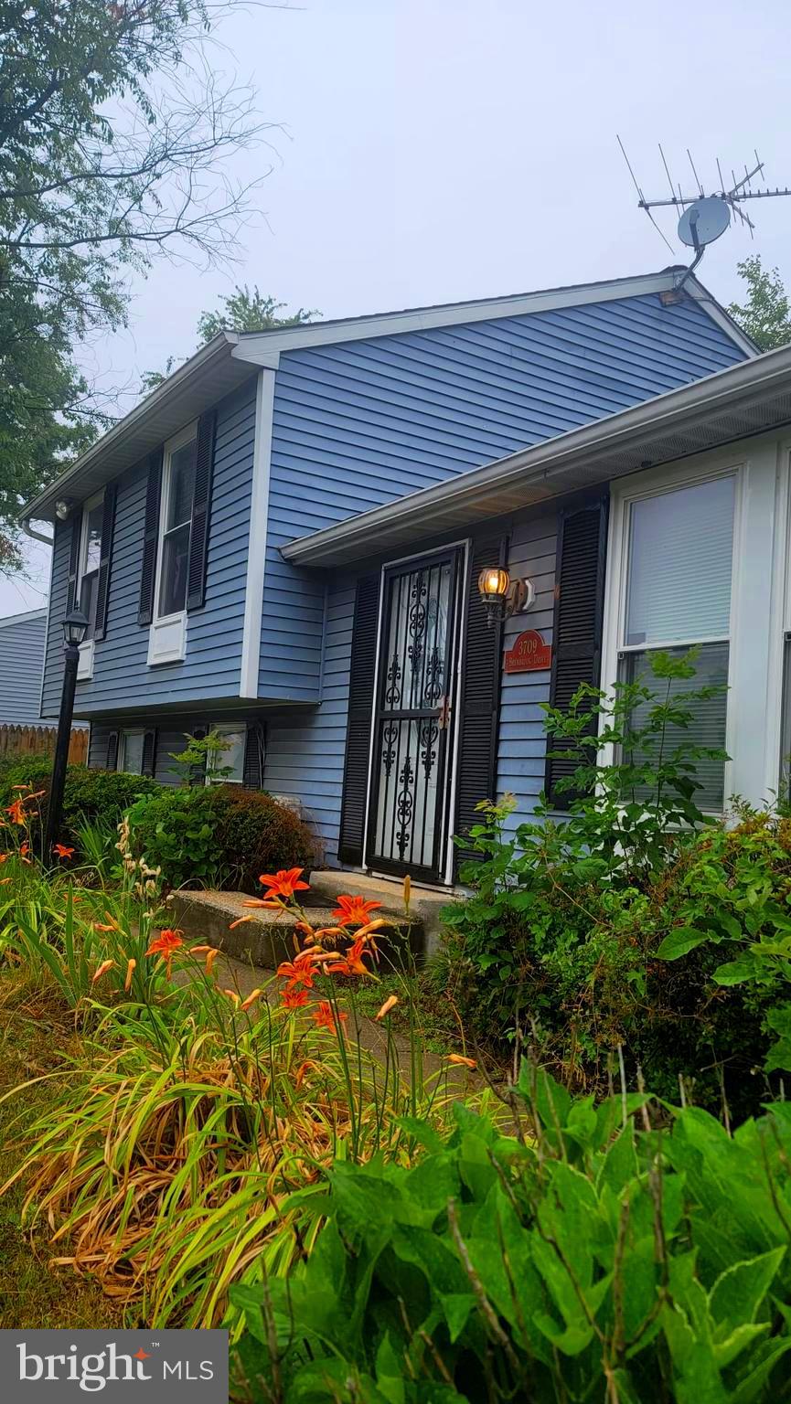 SHERMANS HILL - Residential