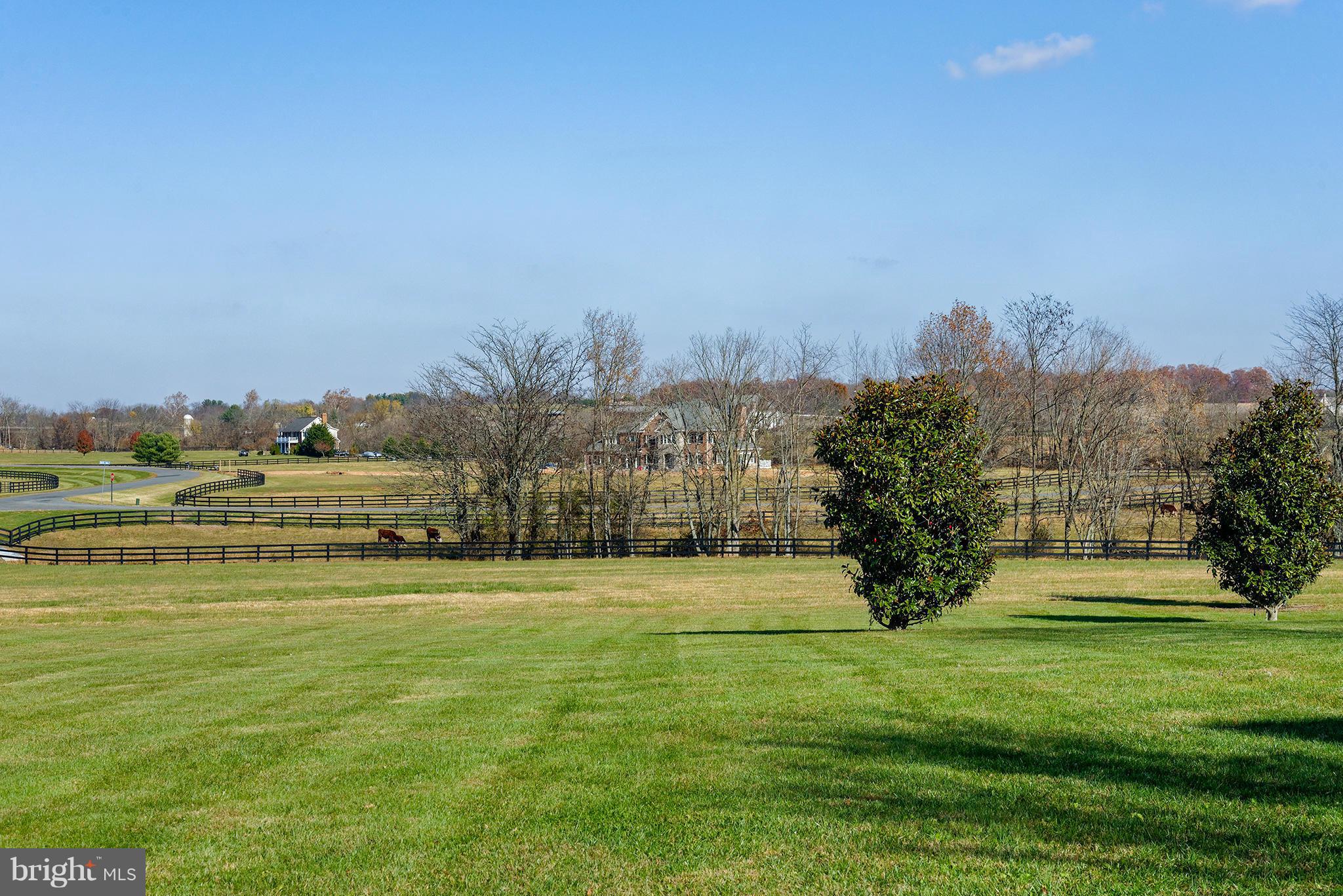 LEE'S CROSSING - Residential