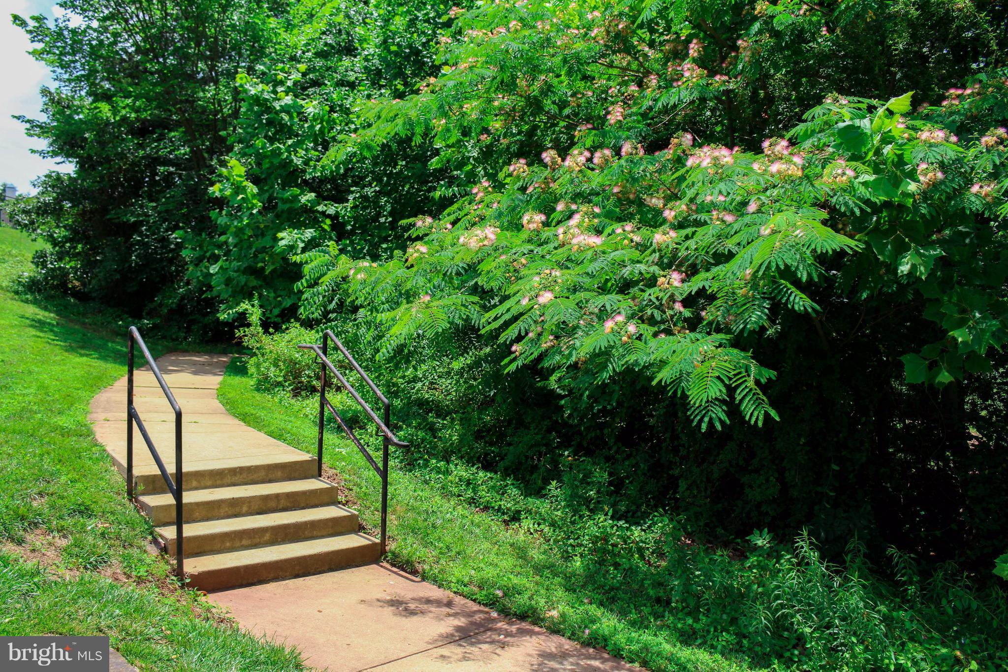 THE RESERVE CONDOMINIUMS - Residential Lease