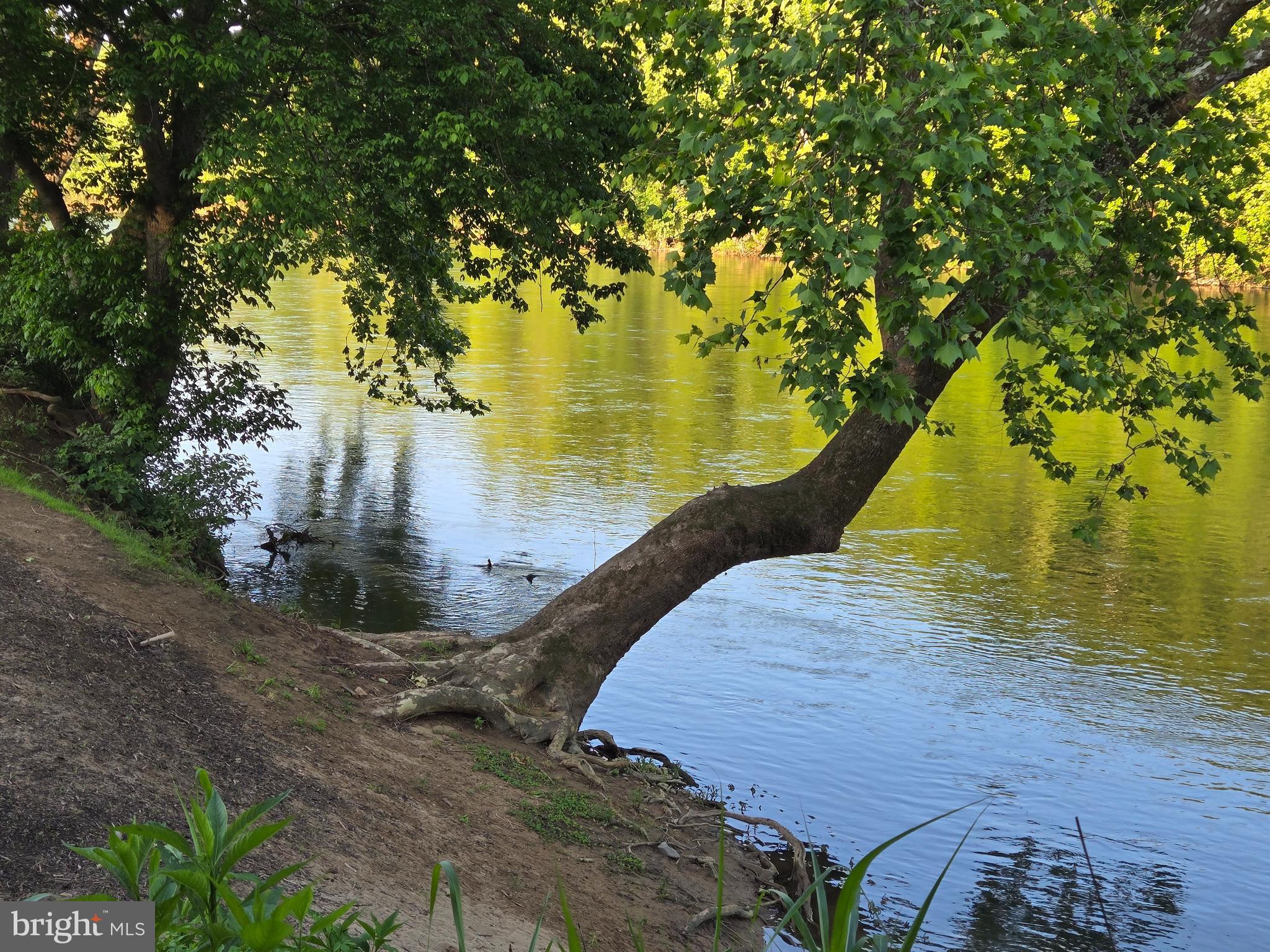 SHEN FARMS RIVERVIEW - Residential