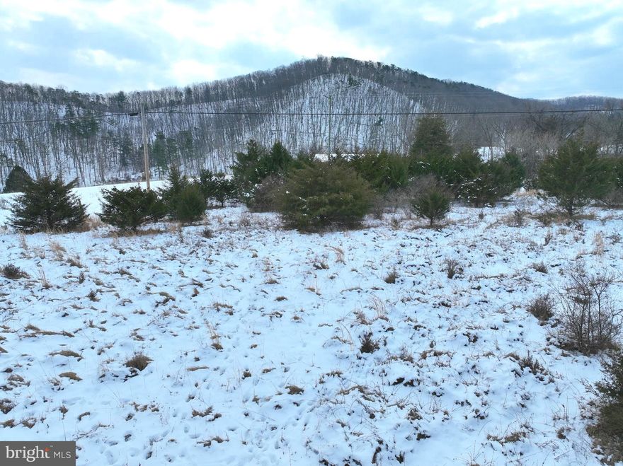 Discover 7.02 acres of unrestricted potential just outside Springfield, WV, near the scenic banks of the South Branch of the Potomac River and within arm’s reach of White Horse Mountain Wildlife Management Area, offering over 1,700 acres of pure recreational enjoyment. Whether you’re into hunting, fishing, or creating your ultimate outdoor escape, this property delivers everything you need to bring your vision to life. With a rugged blend of open spaces, dense hardwoods, and the rare bonus of Abernathy Run flowing gracefully along the northern boundary, this land offers an ideal homesite where you can build your dream home. Electricity and public water are available, making it even easier to turn your vision into reality. Conveniently located just 25 minutes to Cumberland, MD, 1 hour to Winchester, VA, and 2.5 hours from Washington, D.C., this property provides the perfect balance of seclusion and accessibility. Don’t miss your chance to own a piece of paradise where freedom, recreation, and opportunity await. Act now and make this property the foundation of your next big adventure!