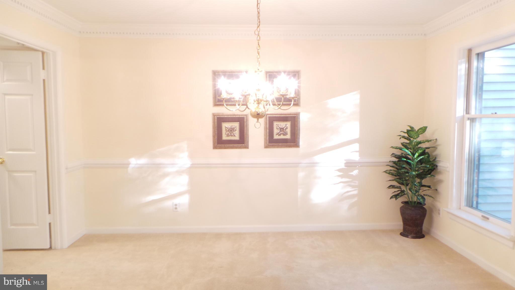 CANNON BLUFF/BACON RACE - Residential