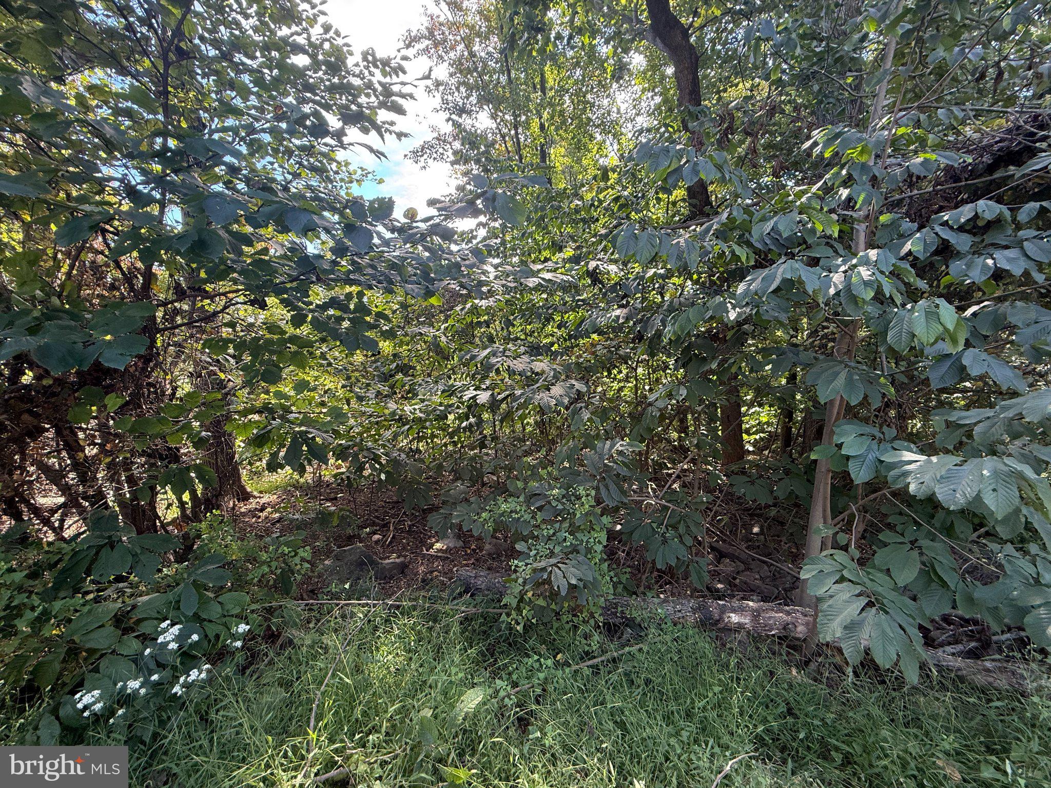 LOT 63 DOGWOOD ROAD