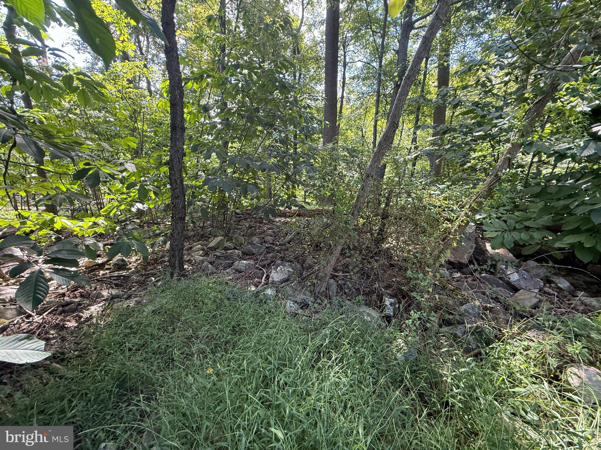 LOT 63 DOGWOOD ROAD