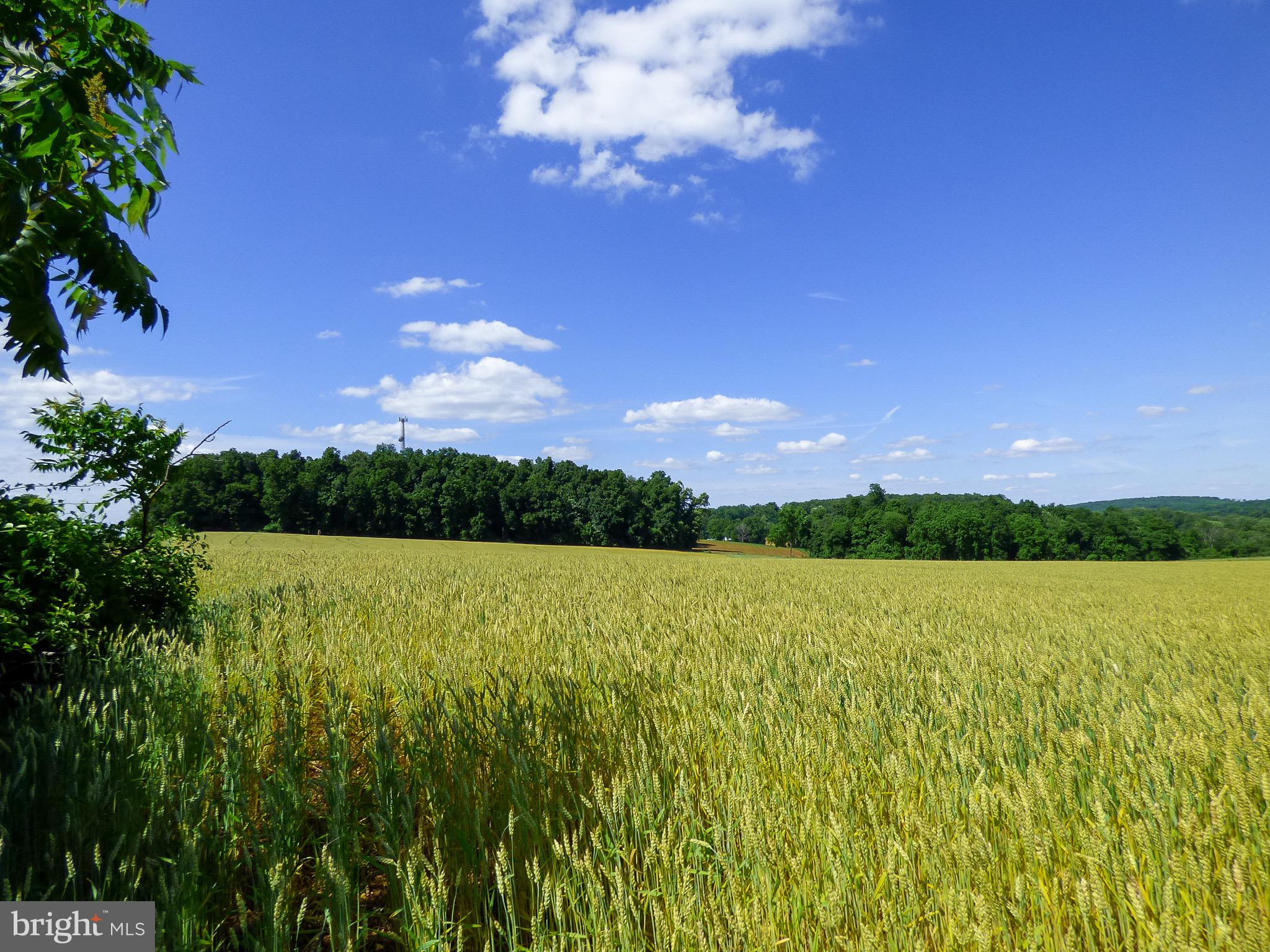 NONE AVAILABLE - Farm