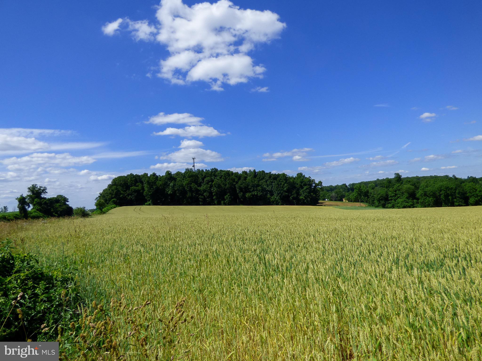 NONE AVAILABLE - Farm