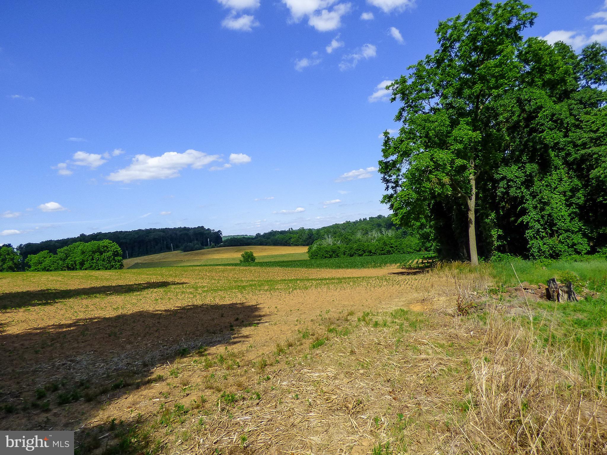 NONE AVAILABLE - Farm