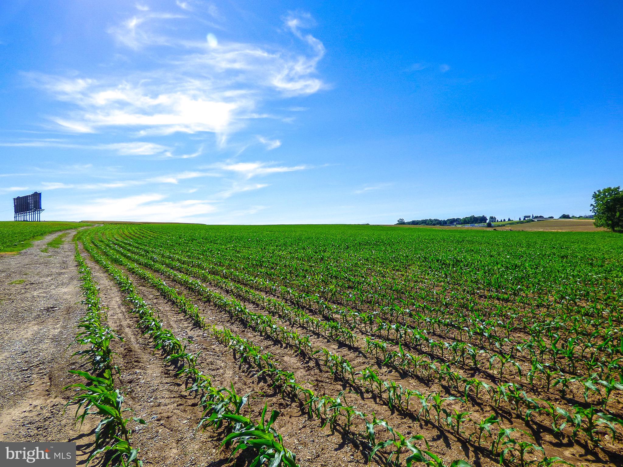 NONE AVAILABLE - Farm