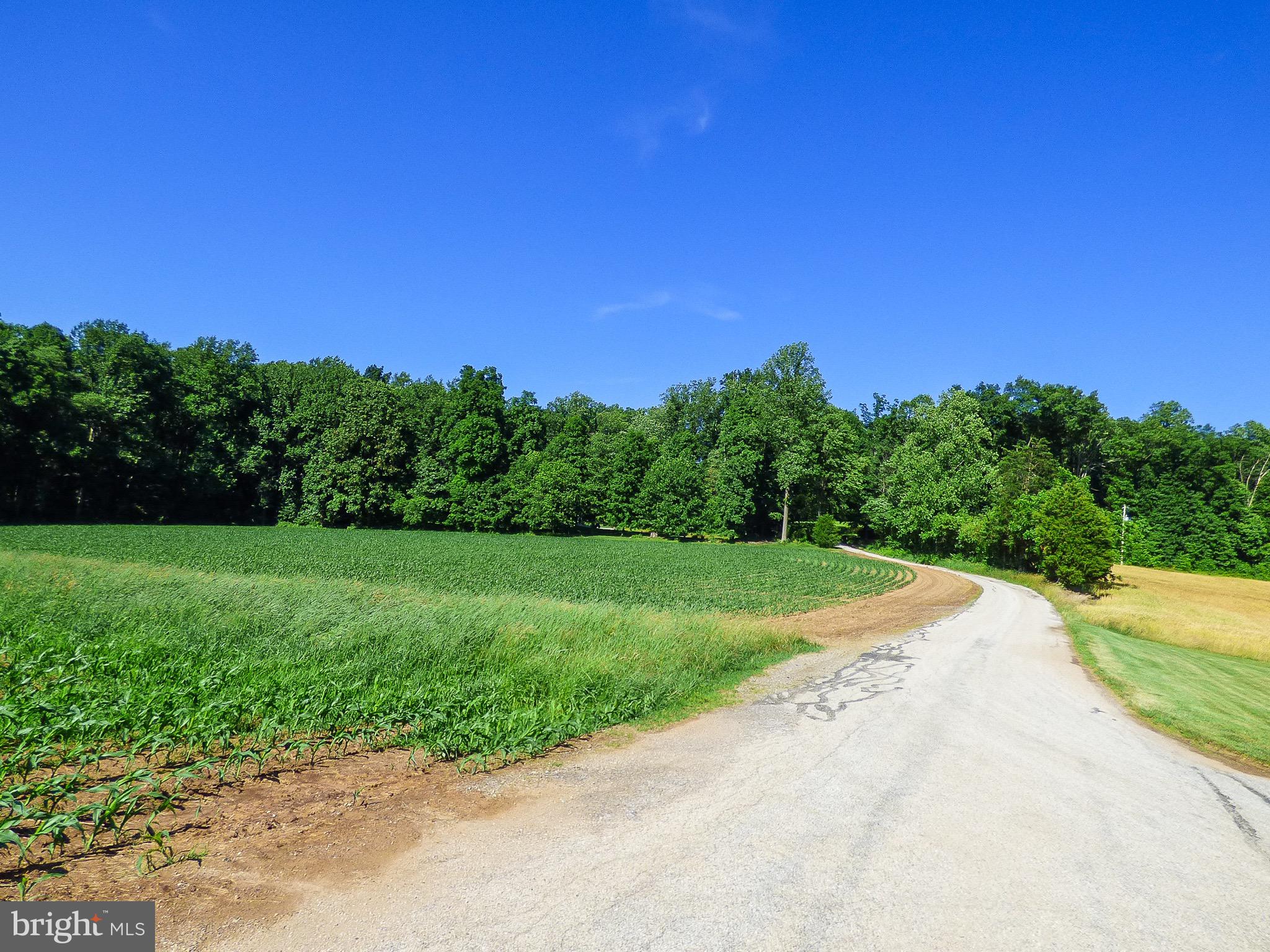 NONE AVAILABLE - Farm