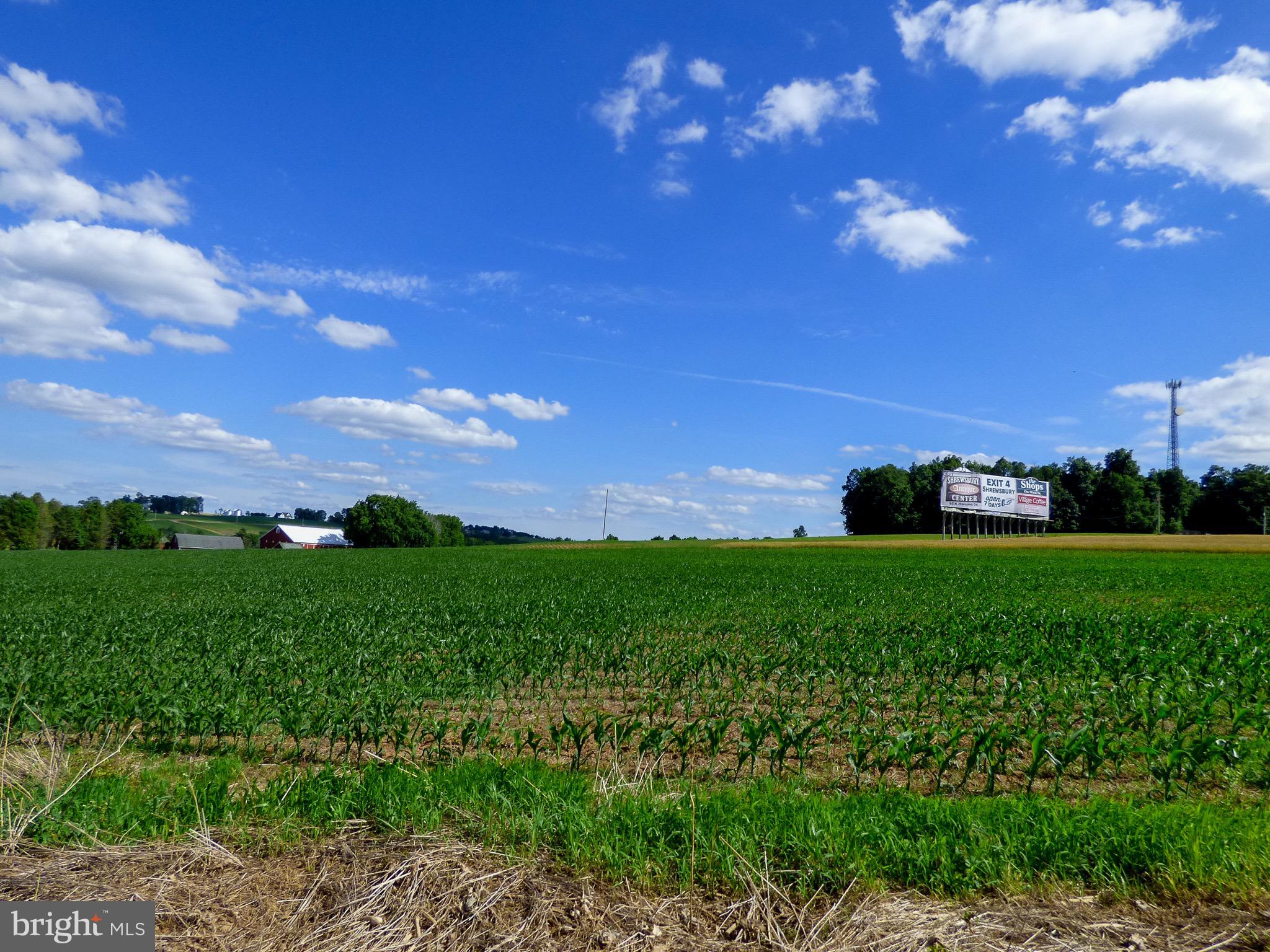 NONE AVAILABLE - Farm