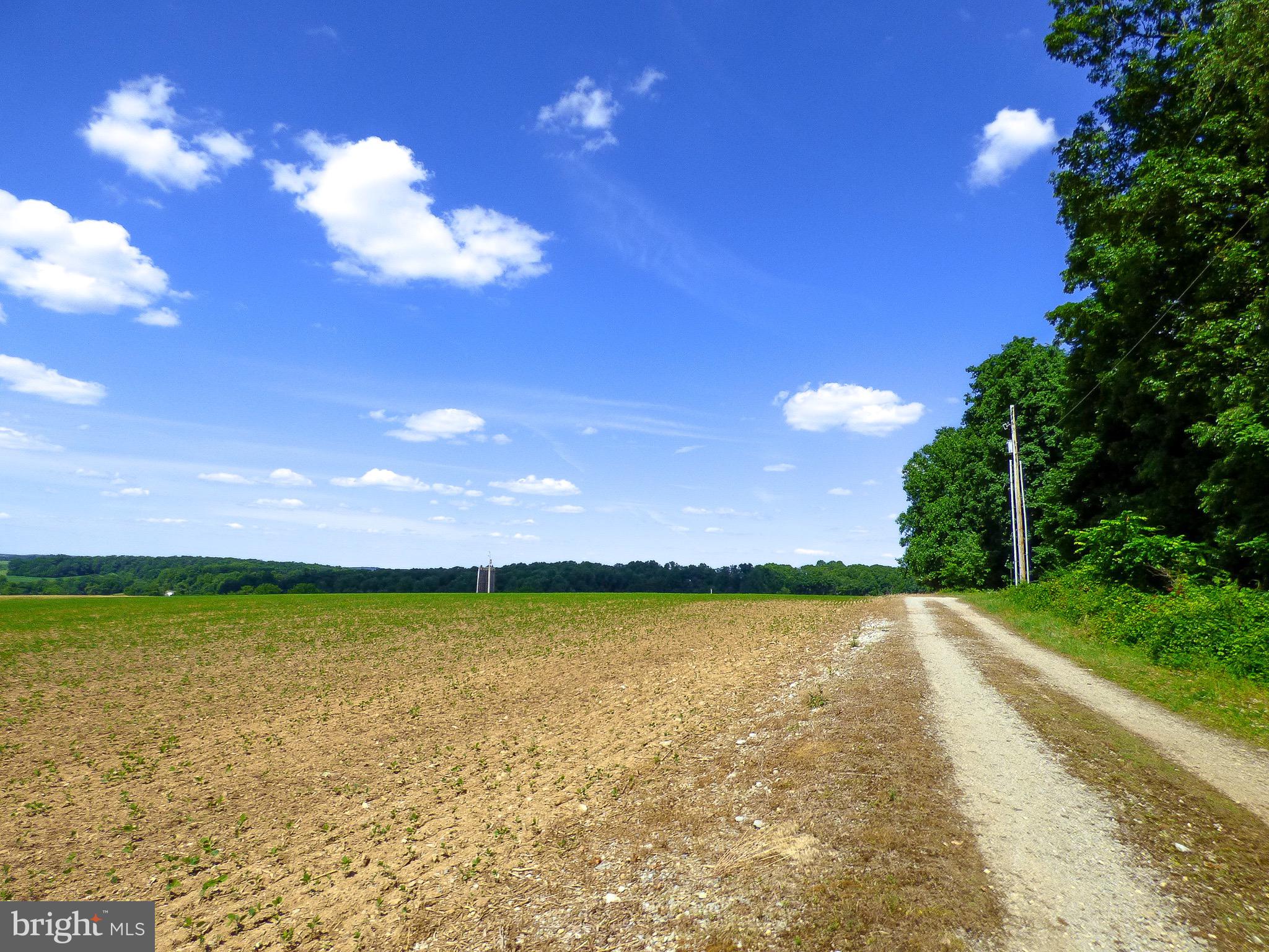 NONE AVAILABLE - Farm