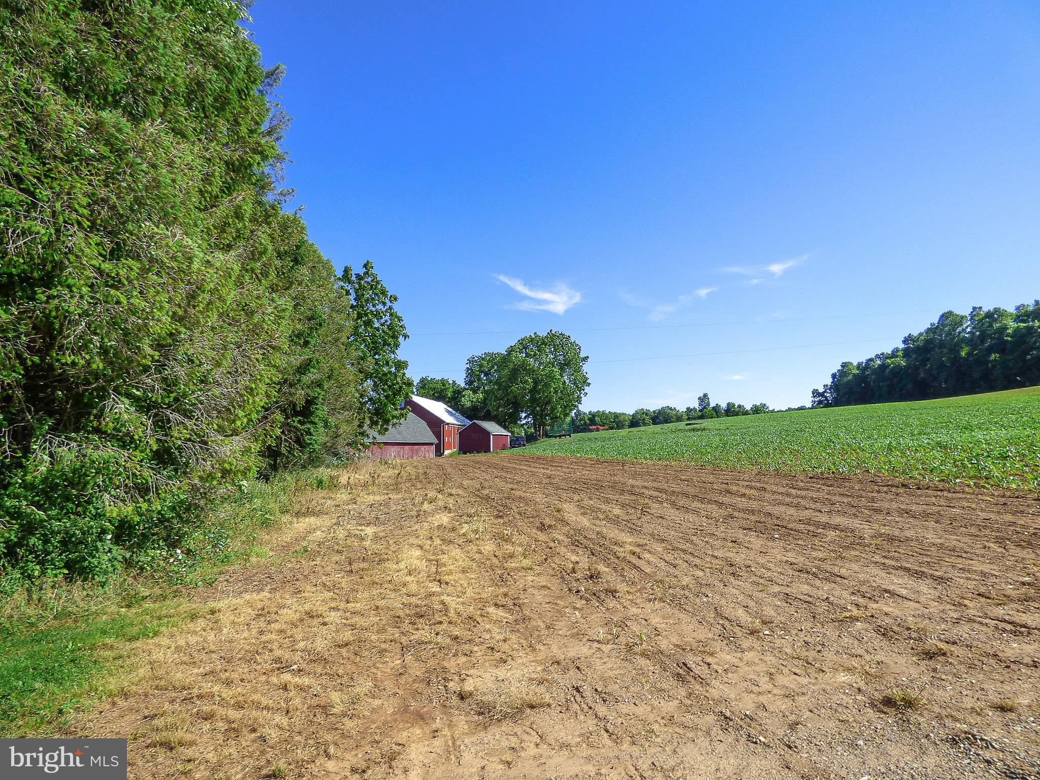 NONE AVAILABLE - Farm