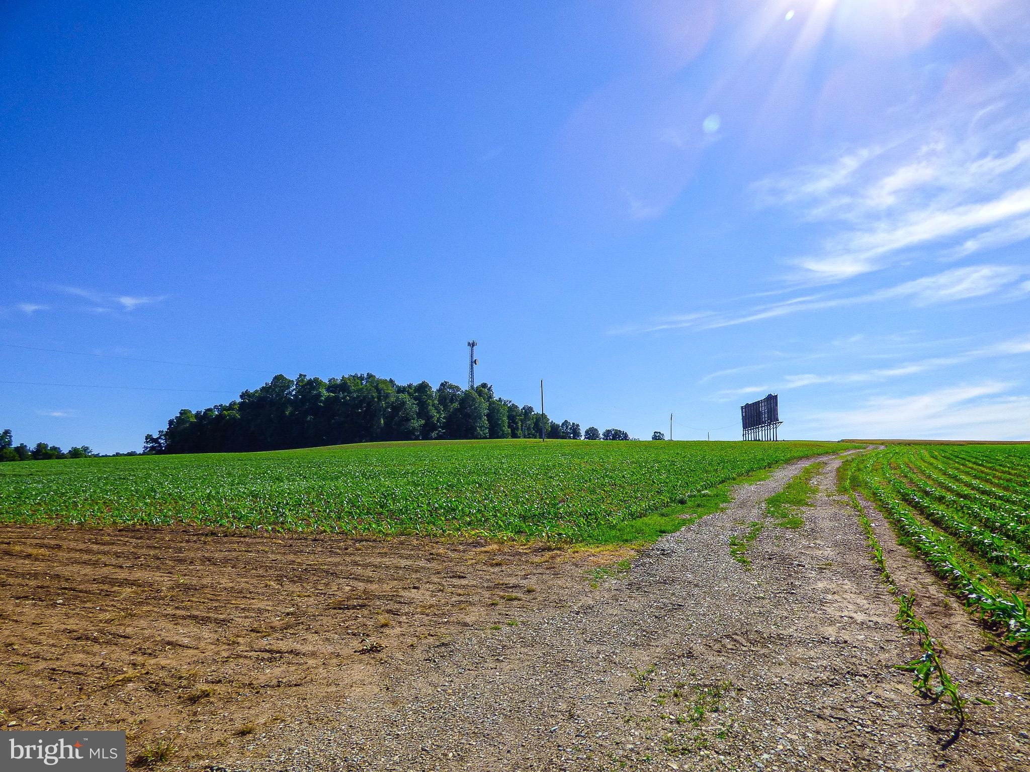 NONE AVAILABLE - Farm