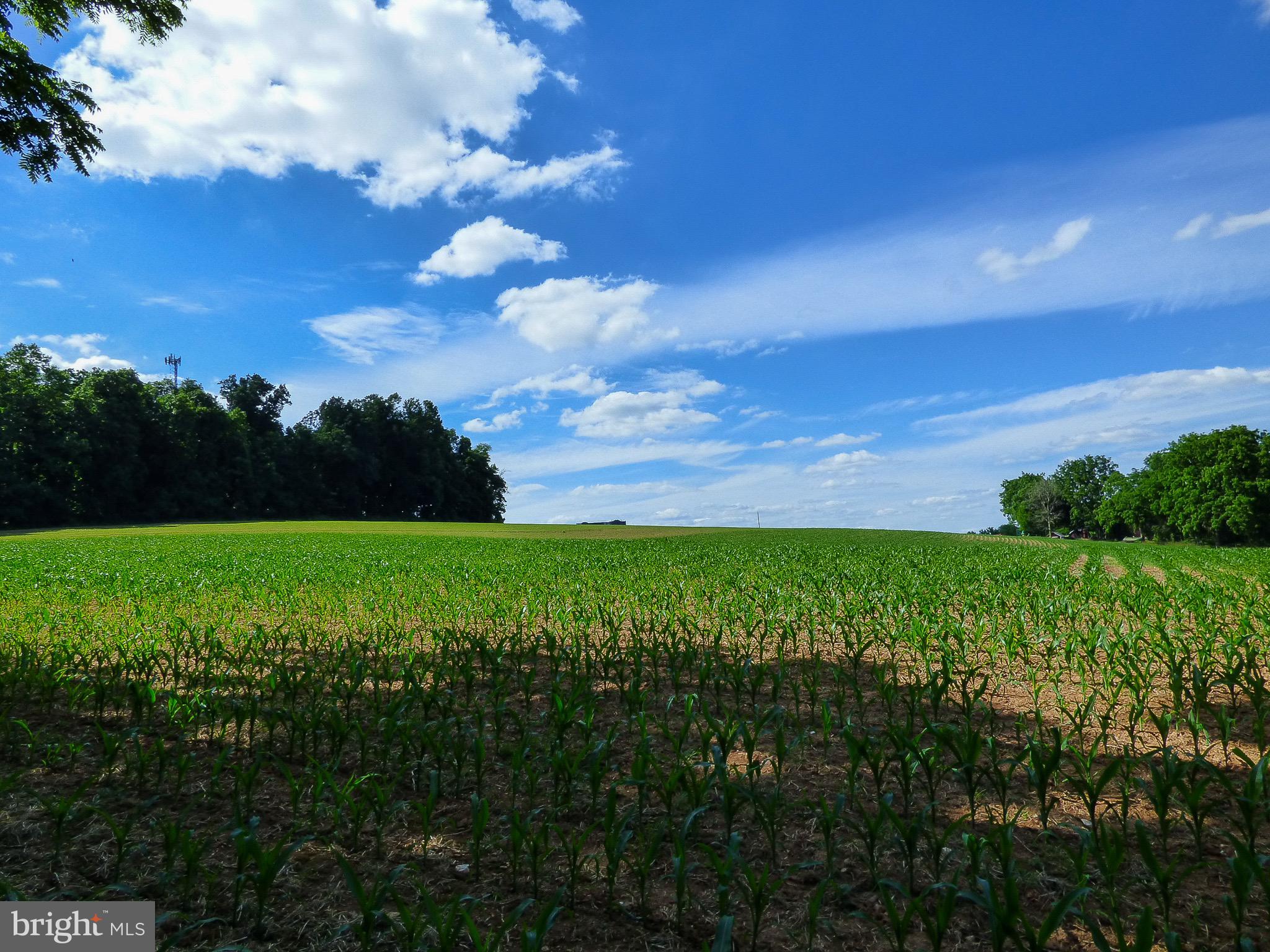 NONE AVAILABLE - Farm